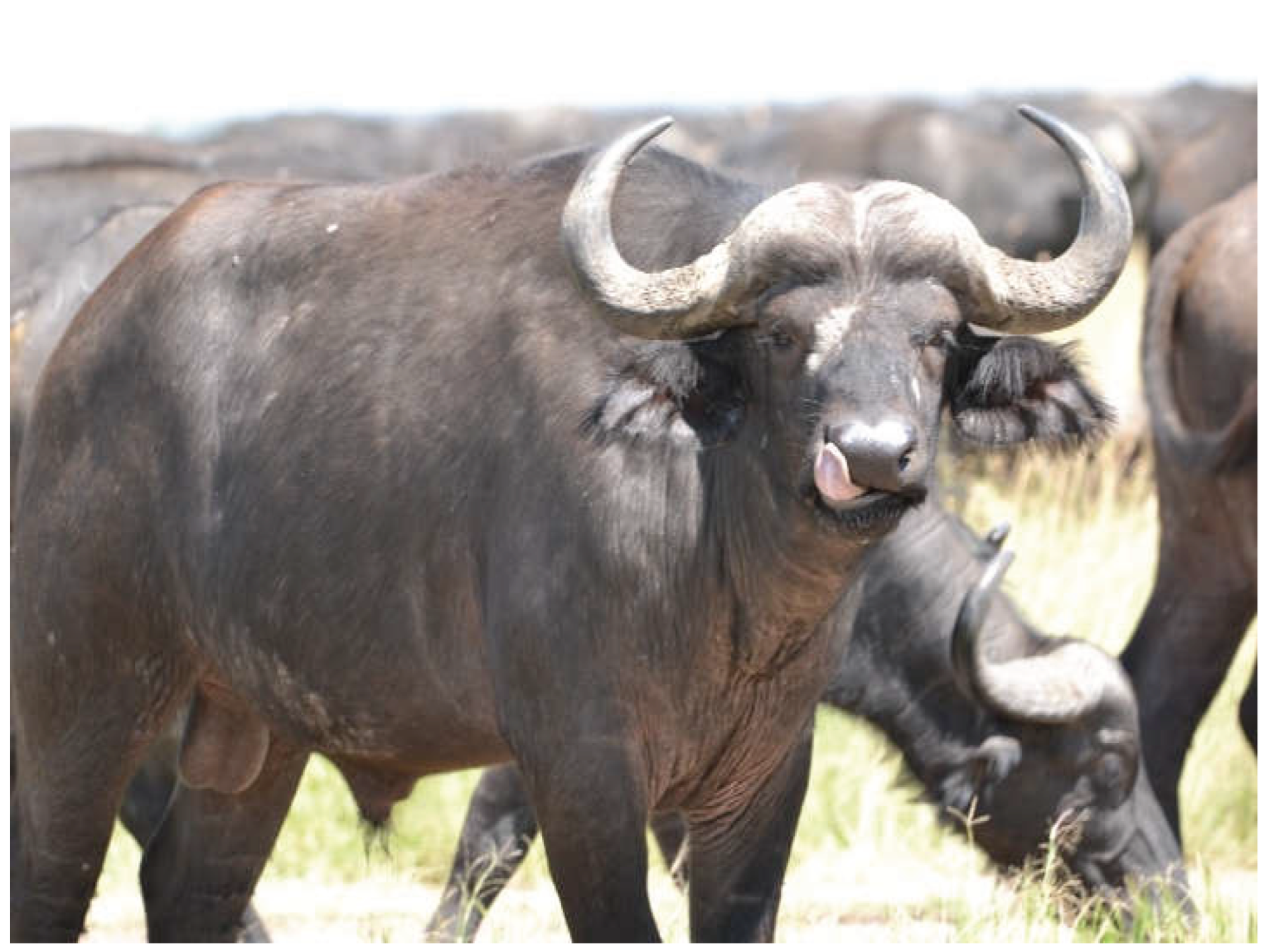 Preprints 192351 g013