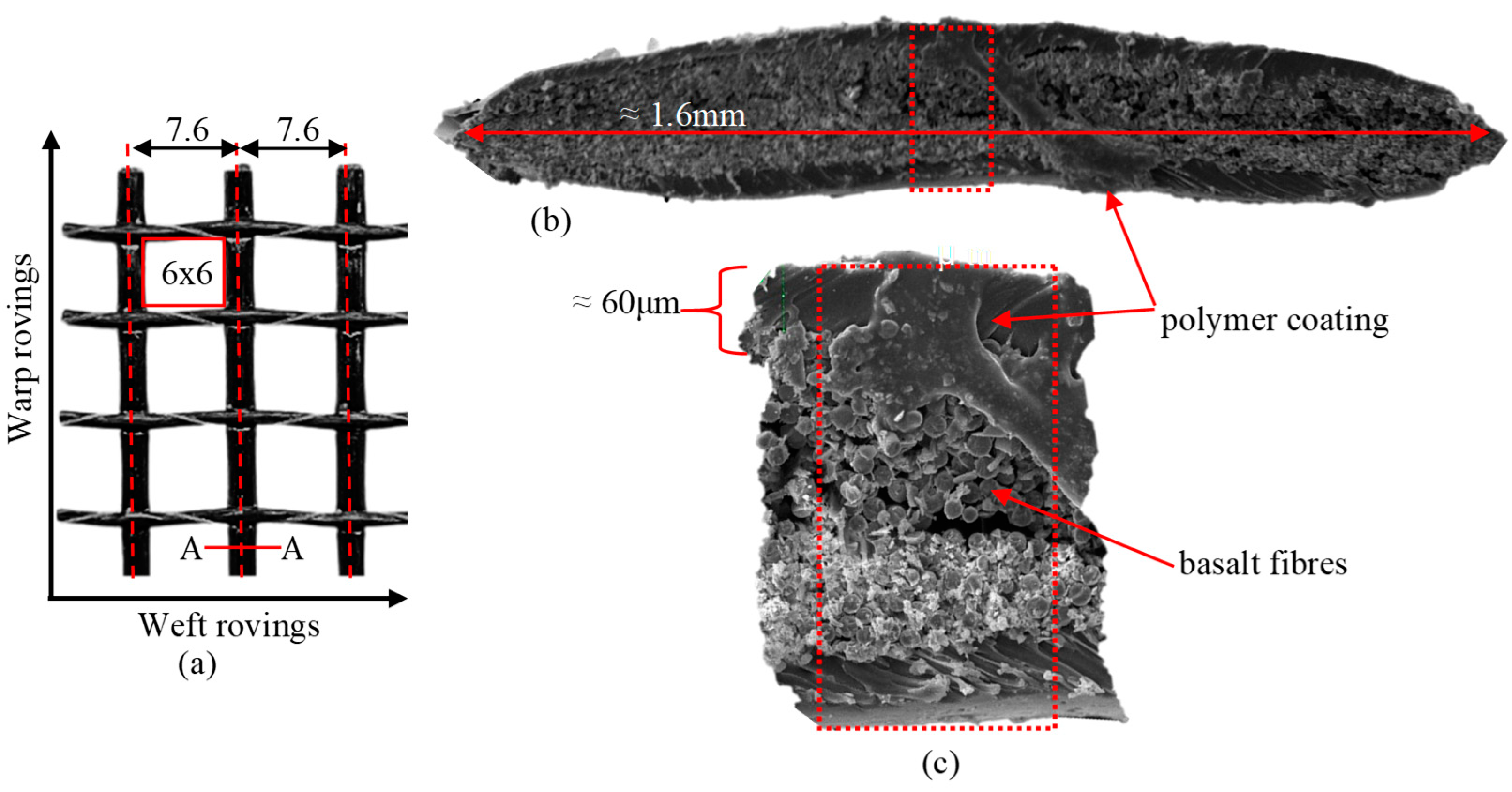 Preprints 140448 g001
