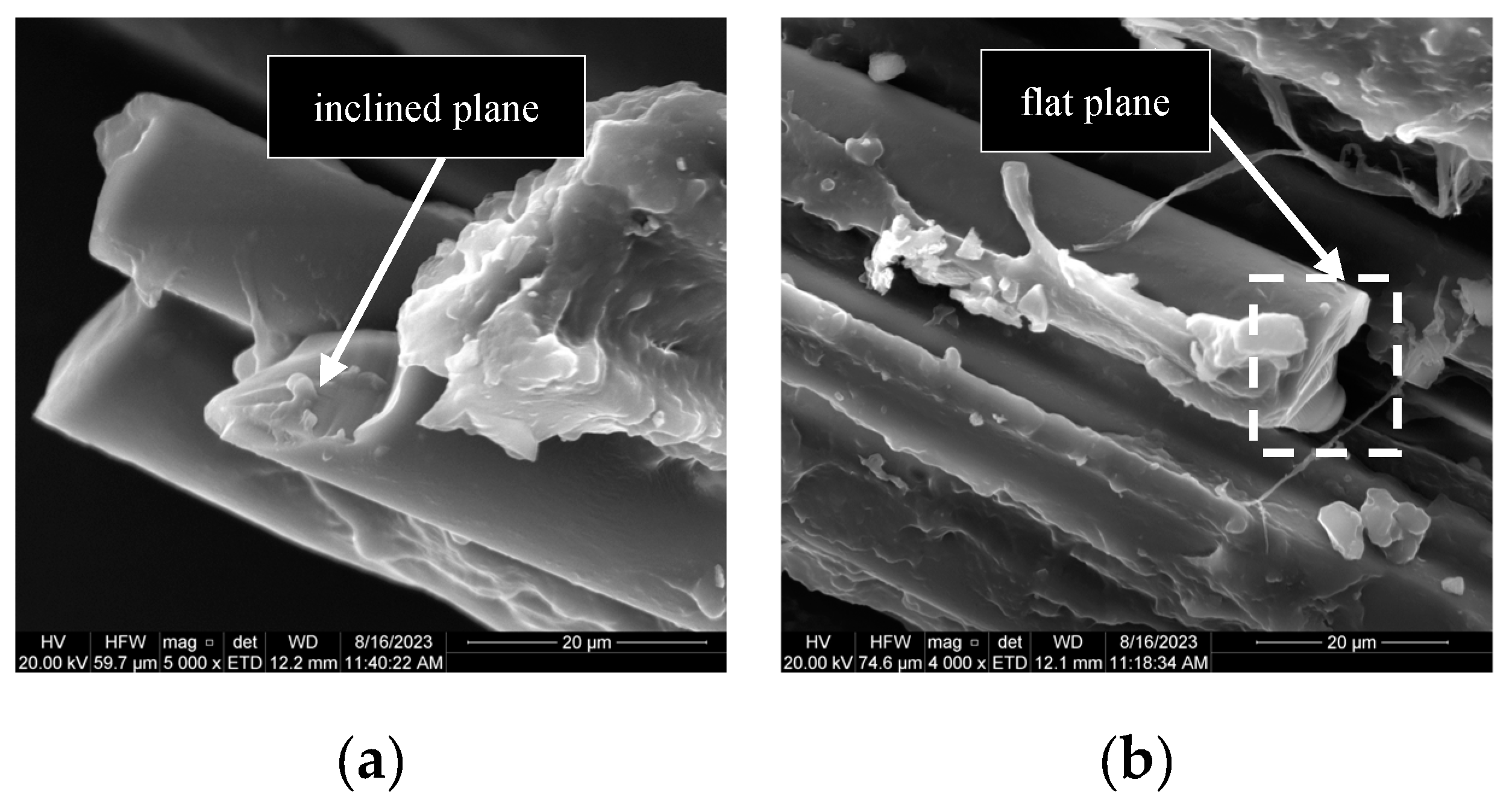 Preprints 140448 g013a