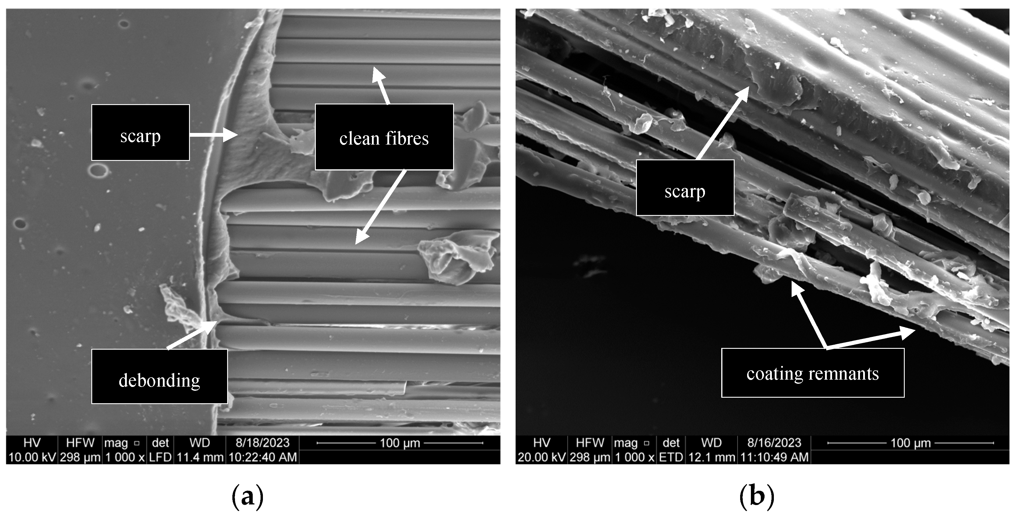 Preprints 140448 g014a