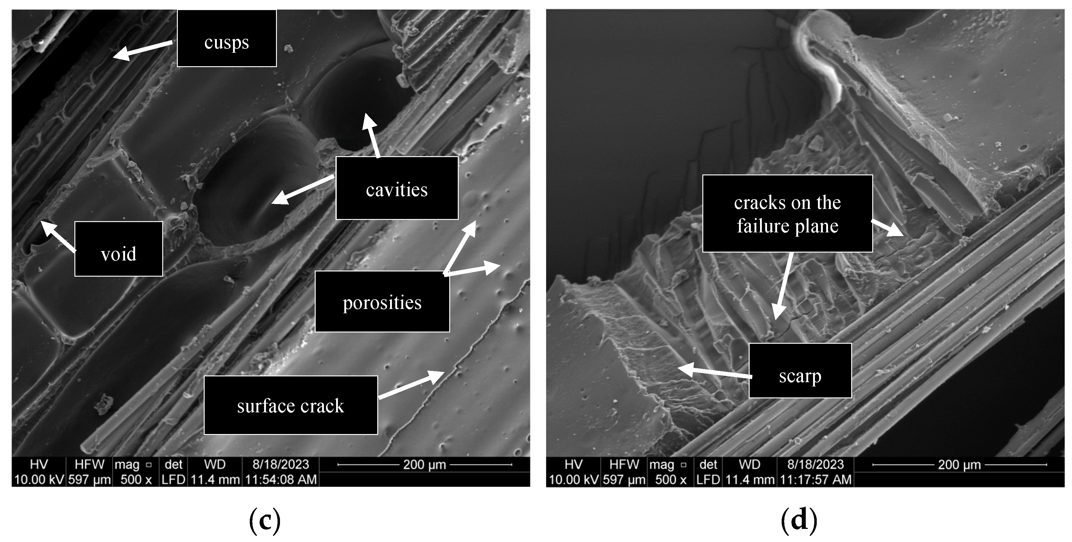 Preprints 140448 g014b