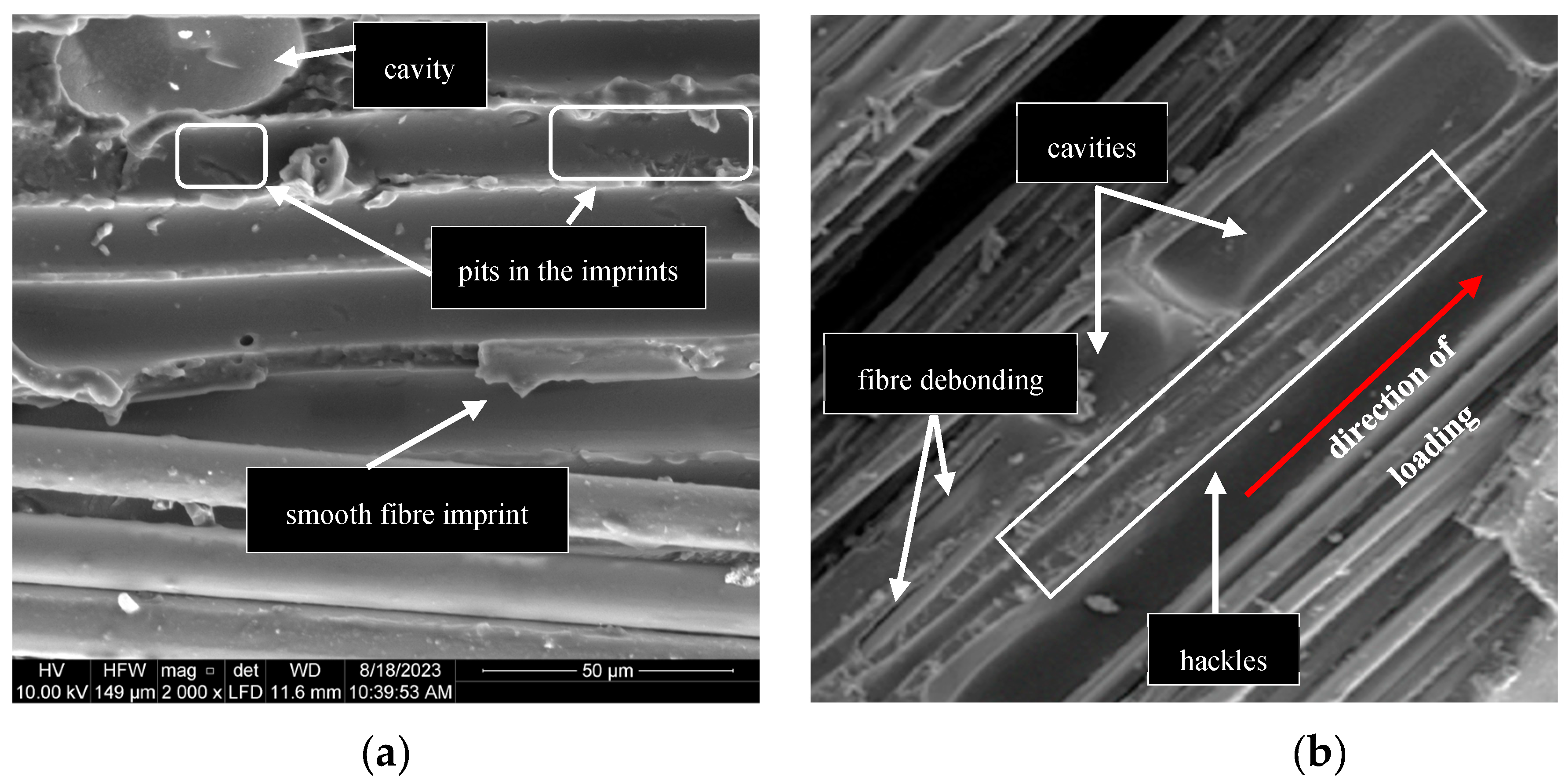 Preprints 140448 g016