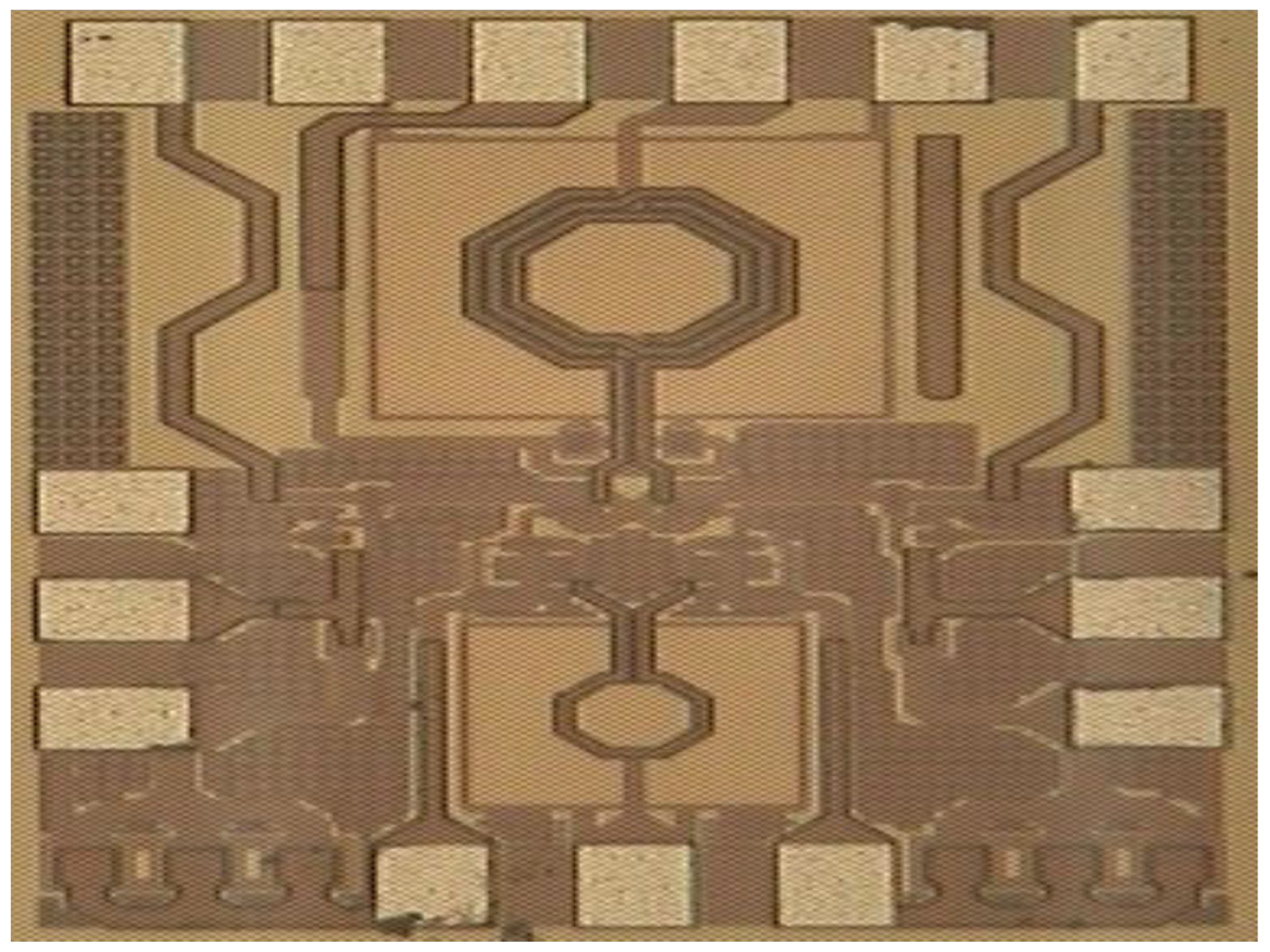 Preprints 154011 g007