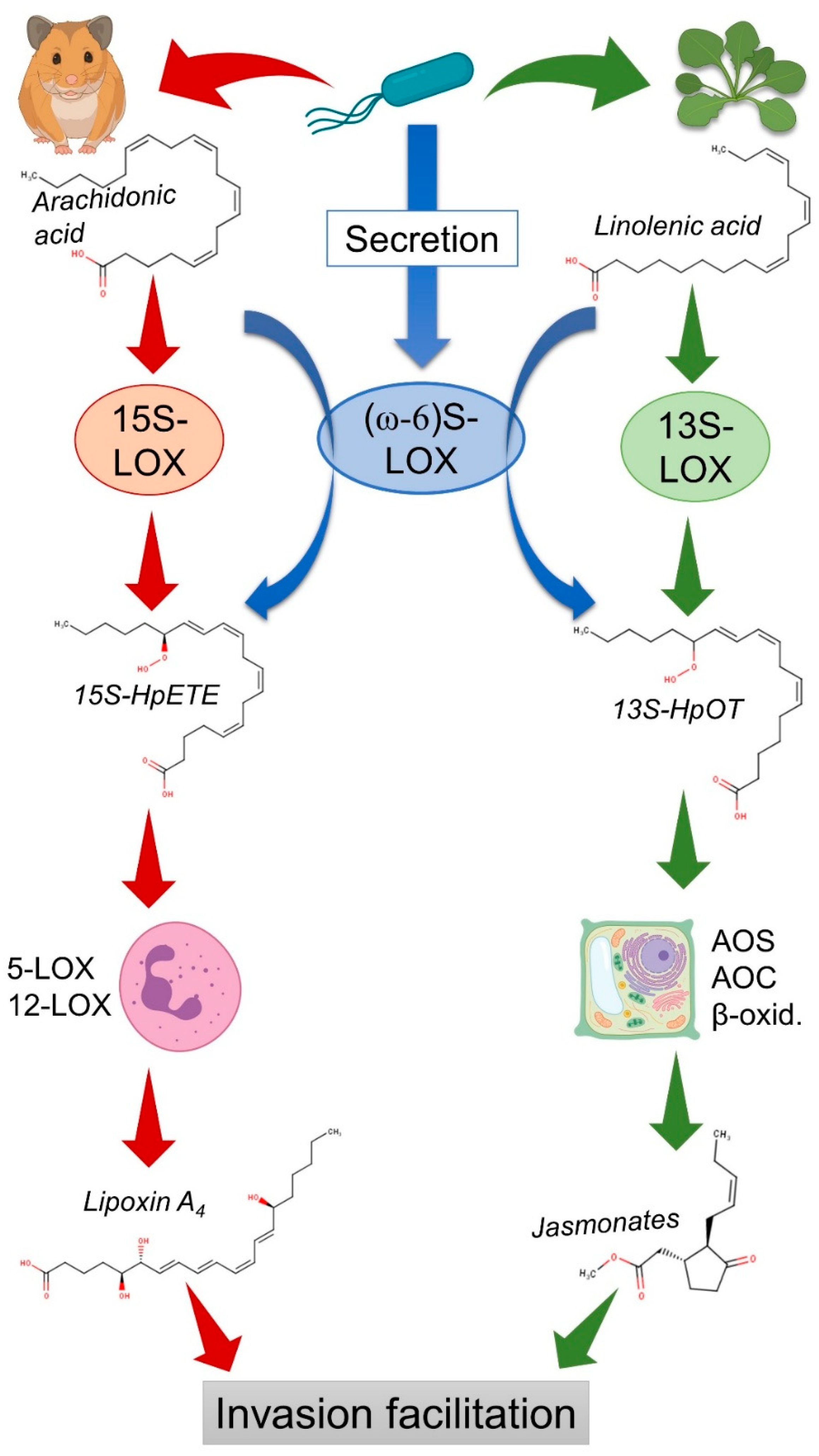 Preprints 200067 g001