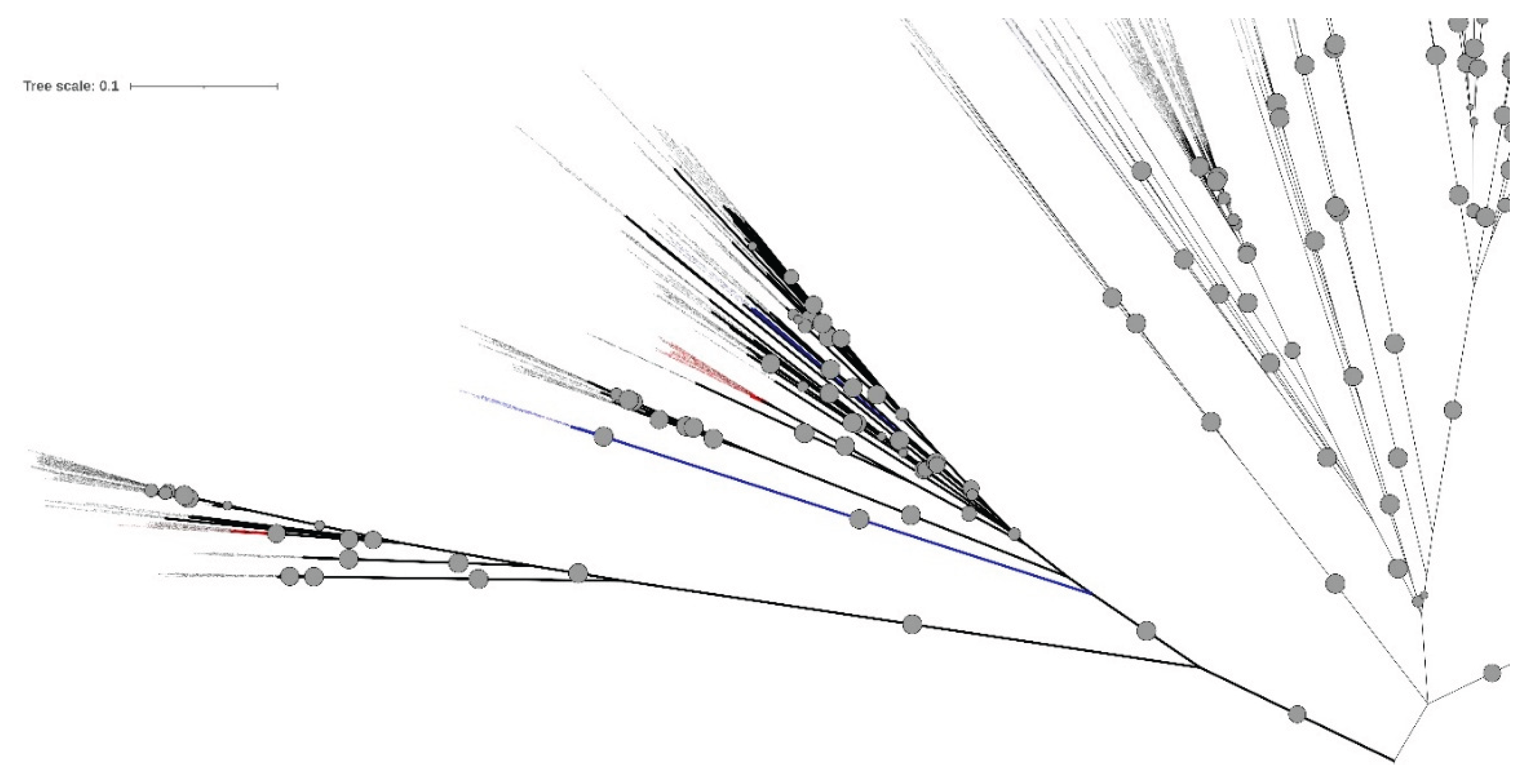 Preprints 200067 g002