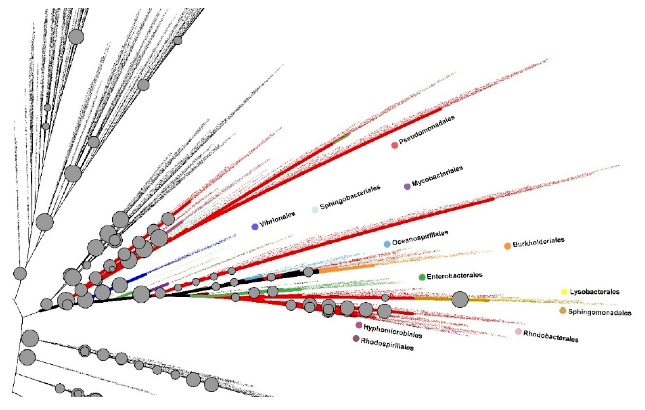 Preprints 200067 g003