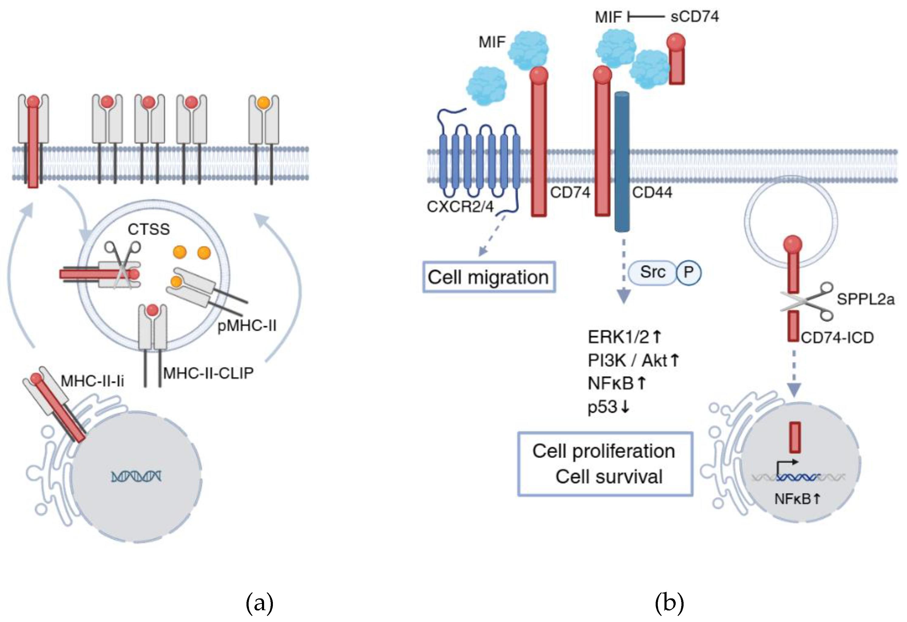 Preprints 190114 g001