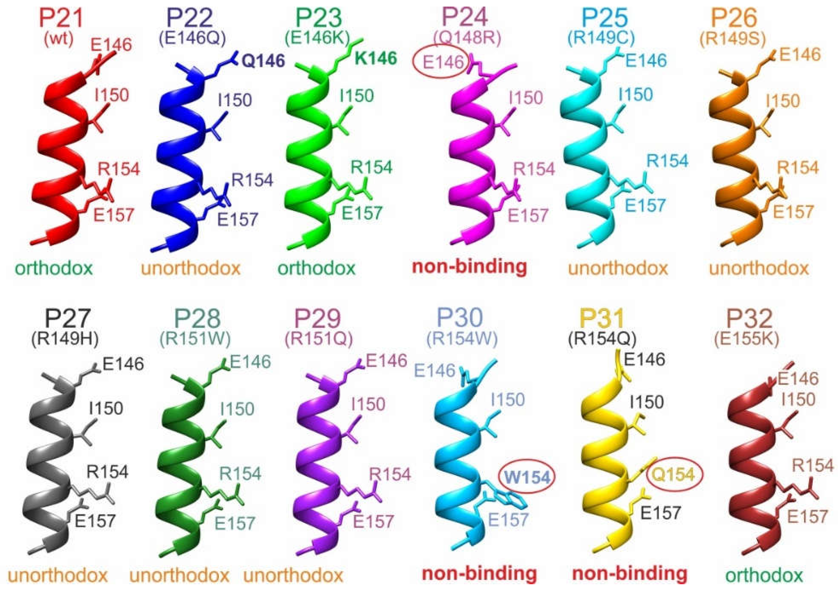 Preprints 155577 g006