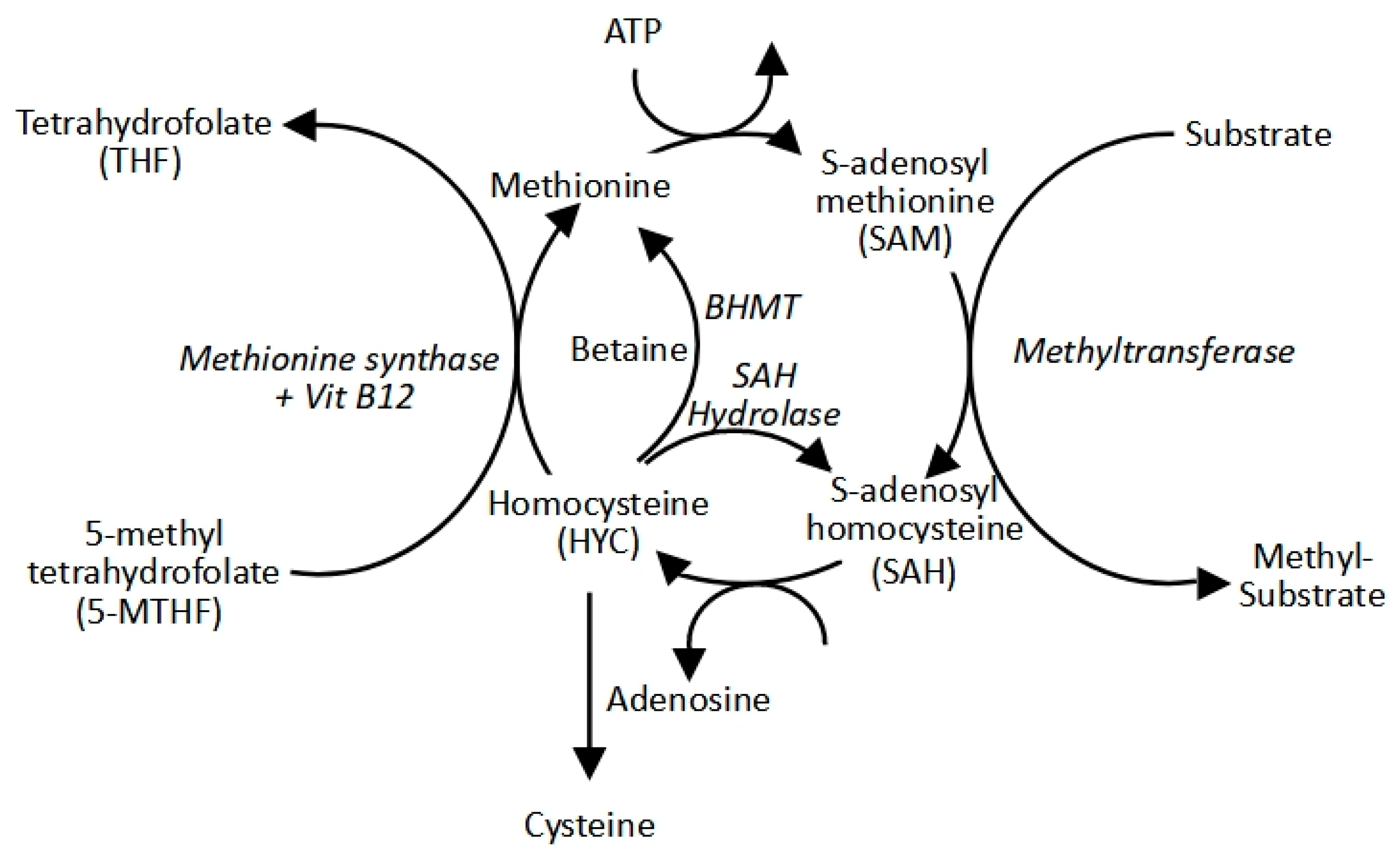 Preprints 171257 g001