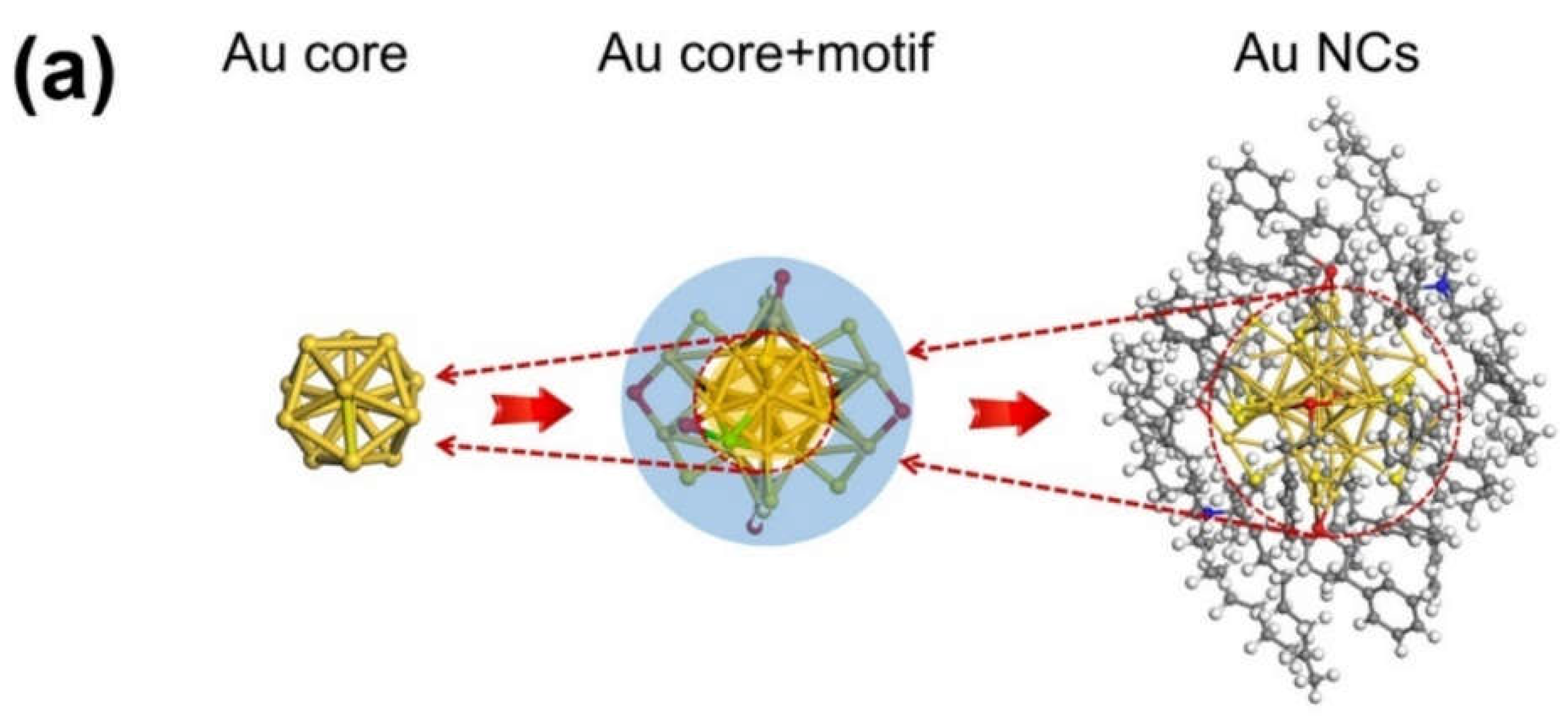 Preprints 72790 g007