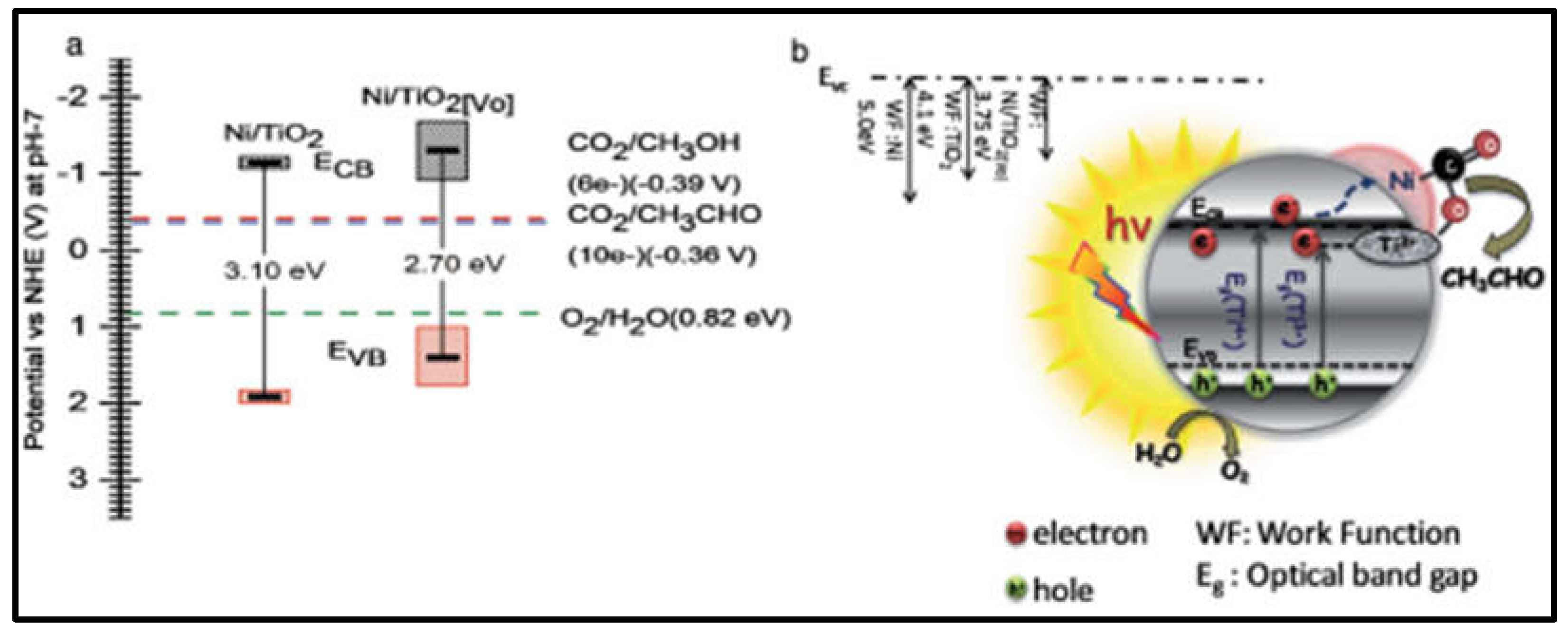 Preprints 72790 g017