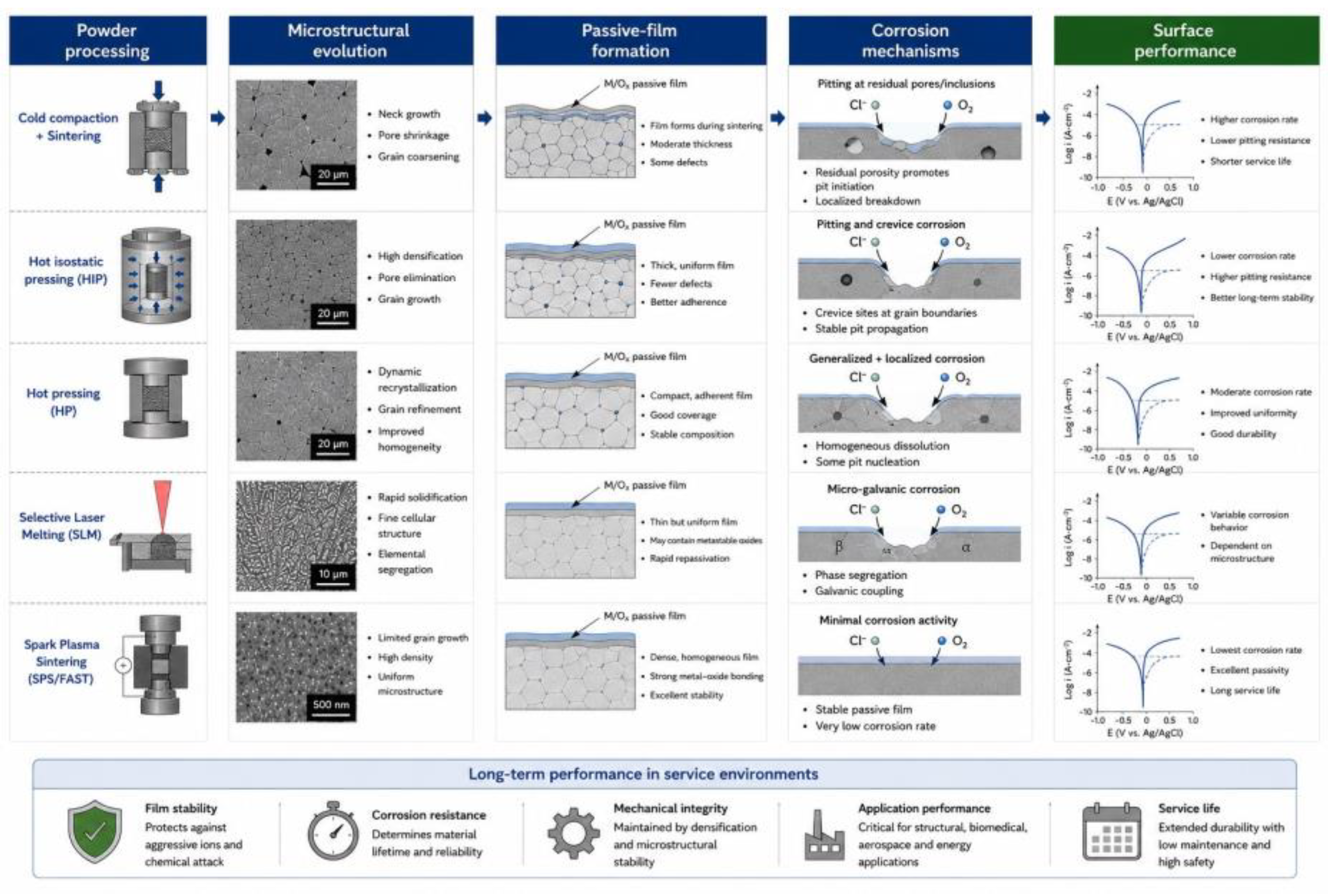 Preprints 218060 g007 Preprints 218060 g007