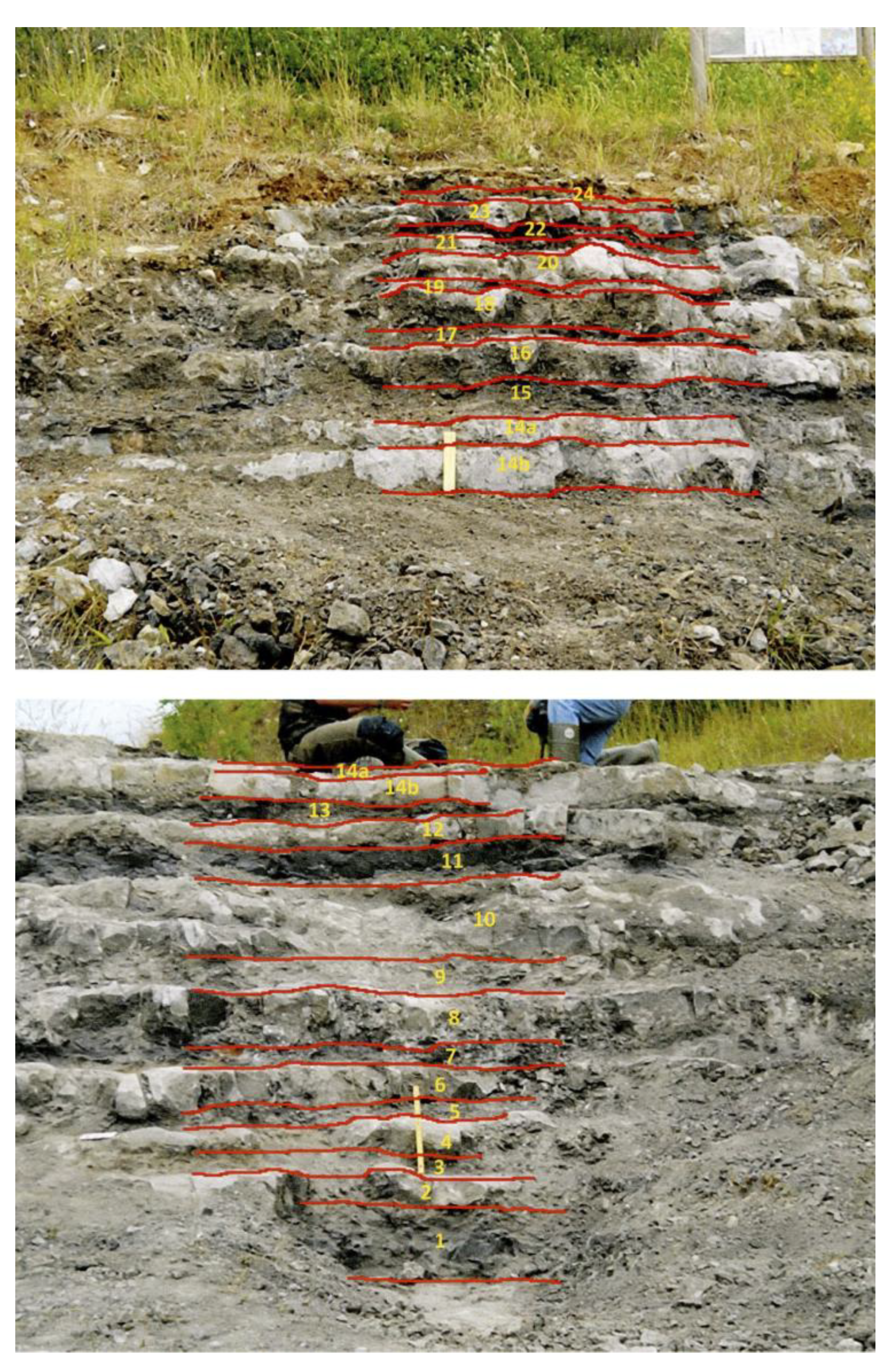 Preprints 172335 g003