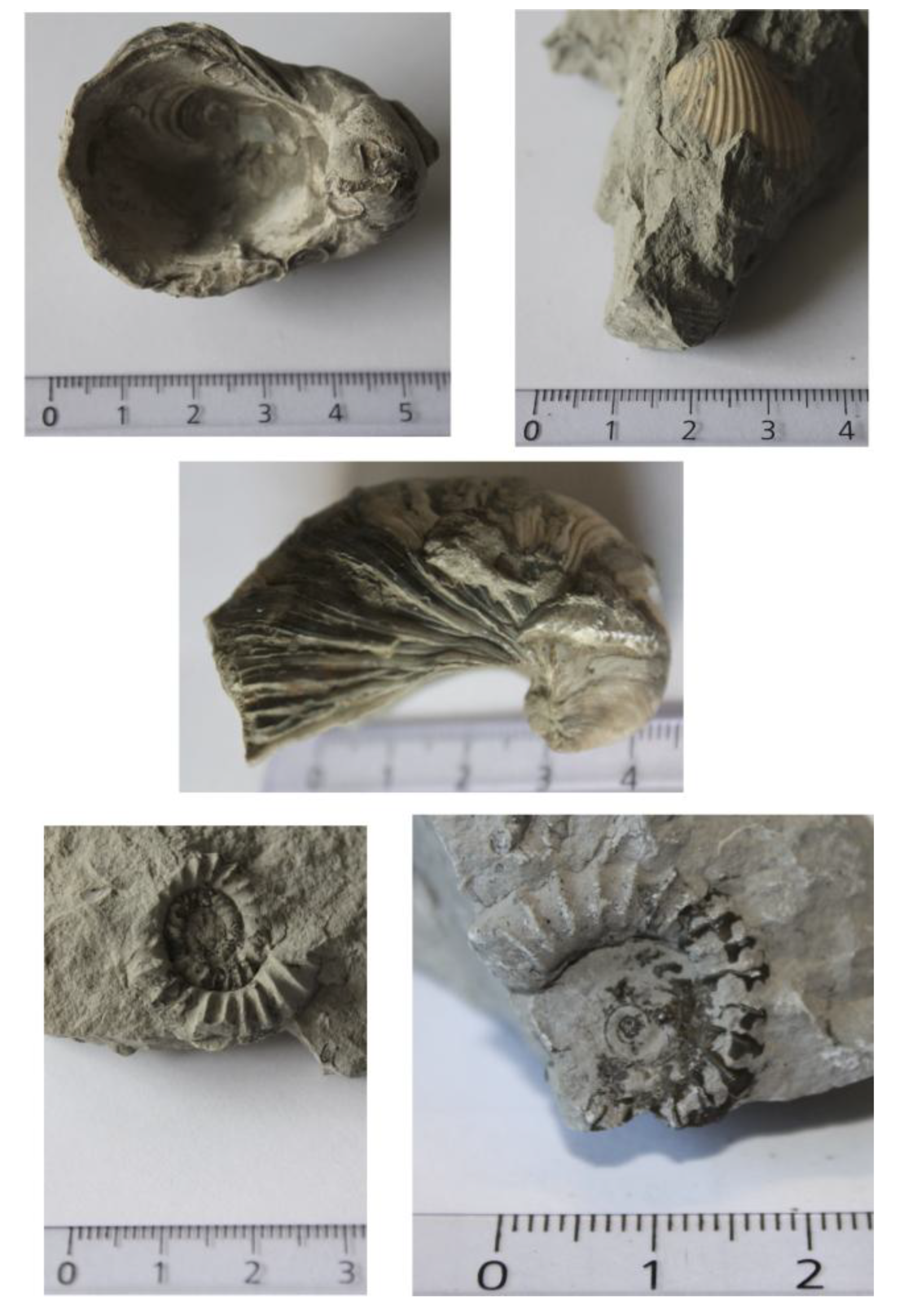 Preprints 172335 g004