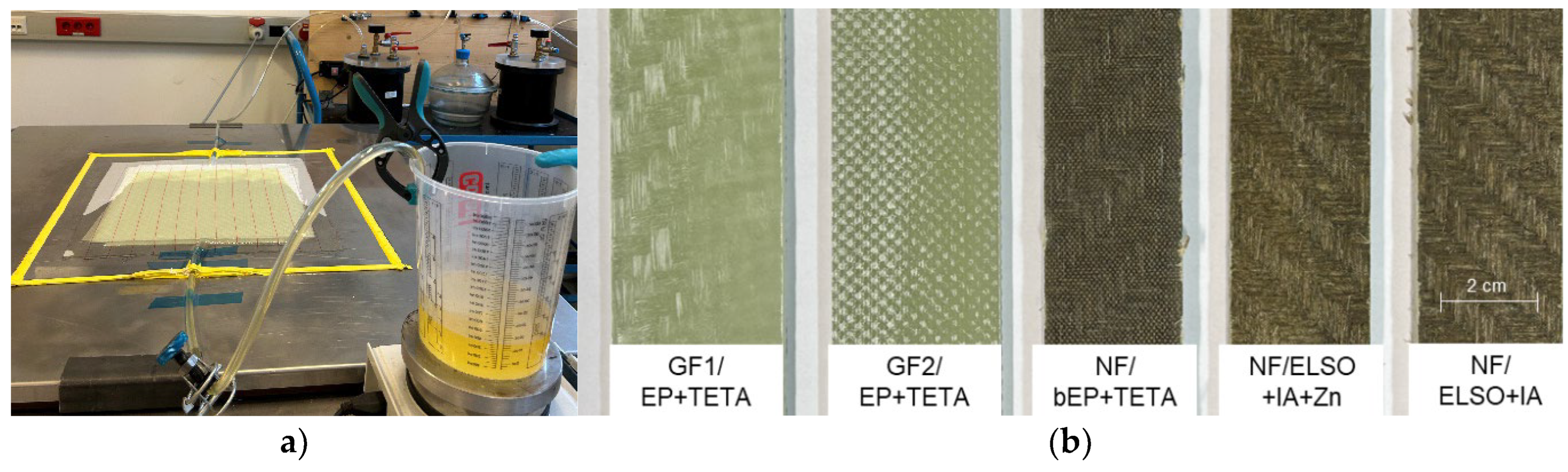 Preprints 146237 g001