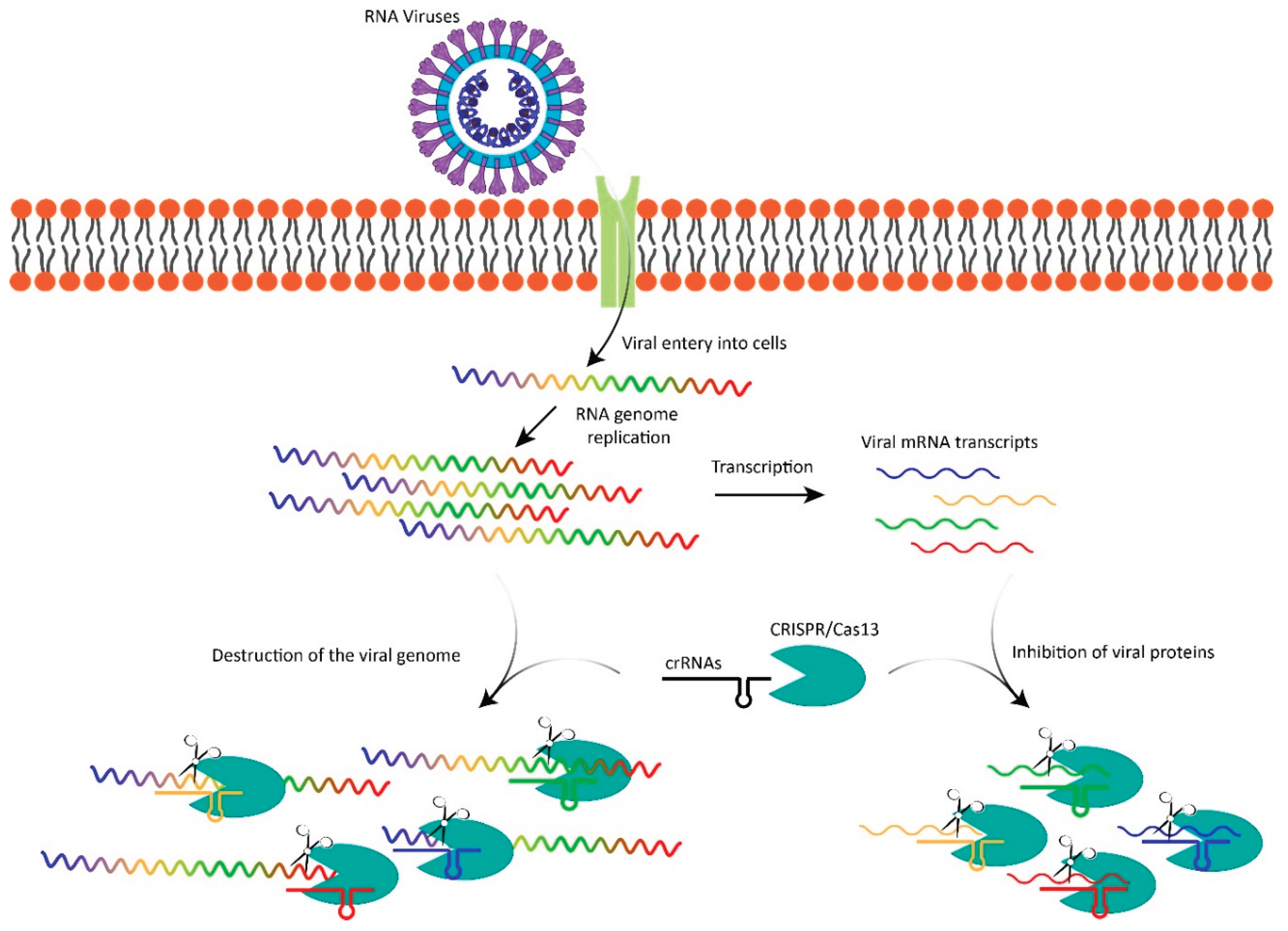 Preprints 163622 g001