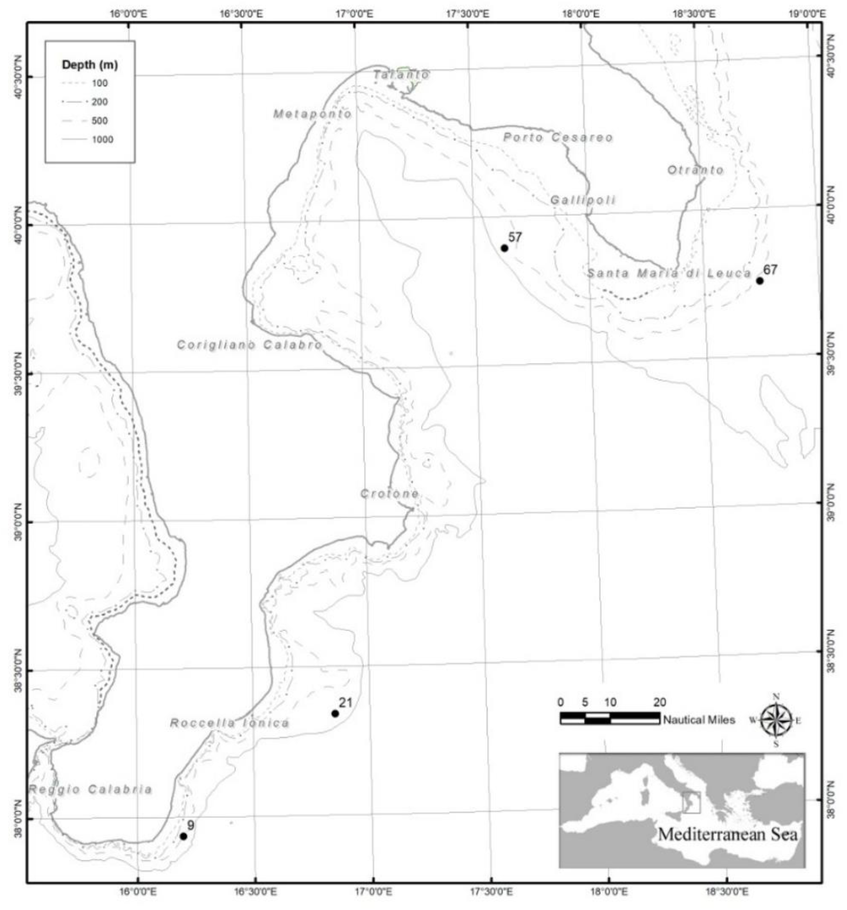 Preprints 174271 g001