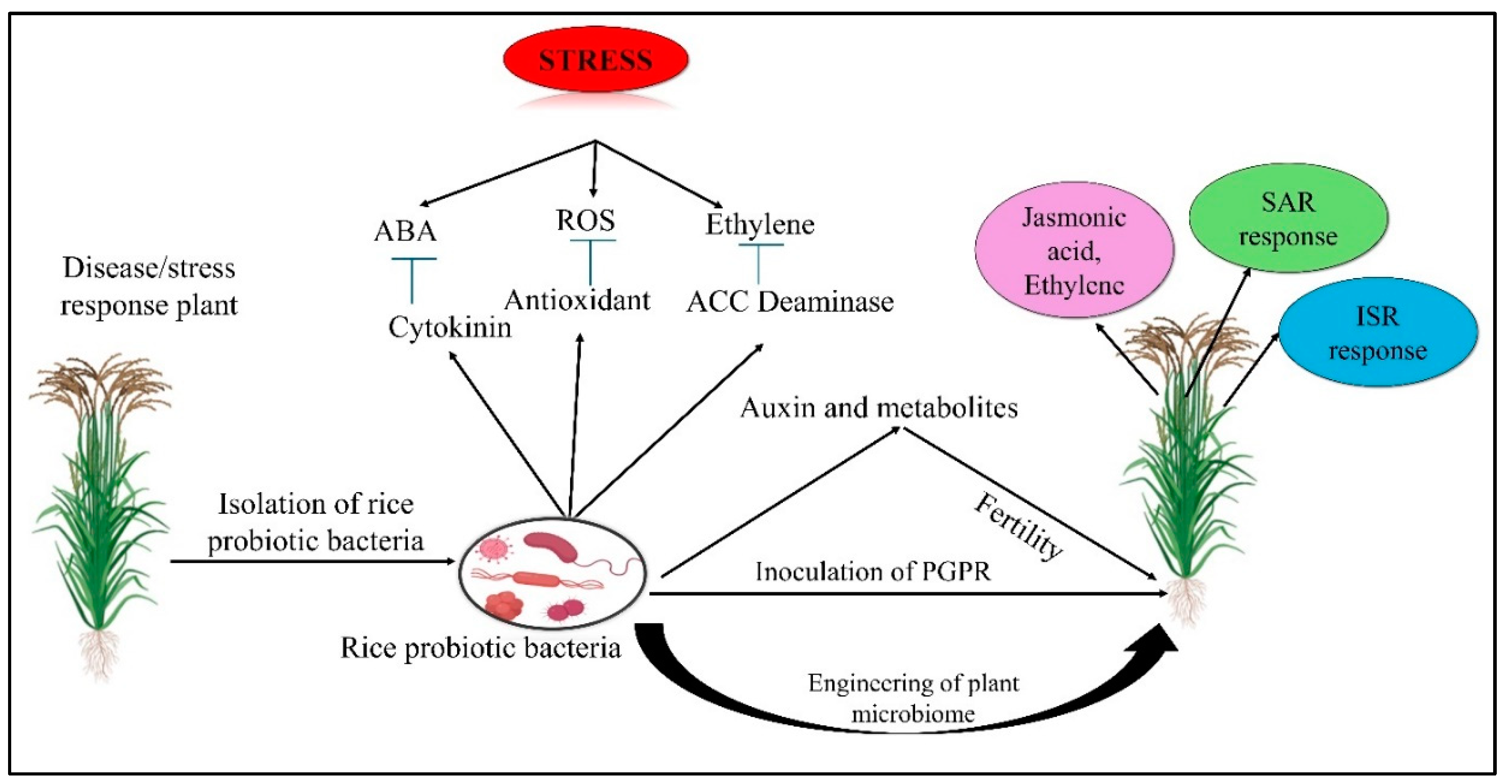 Preprints 141792 g002