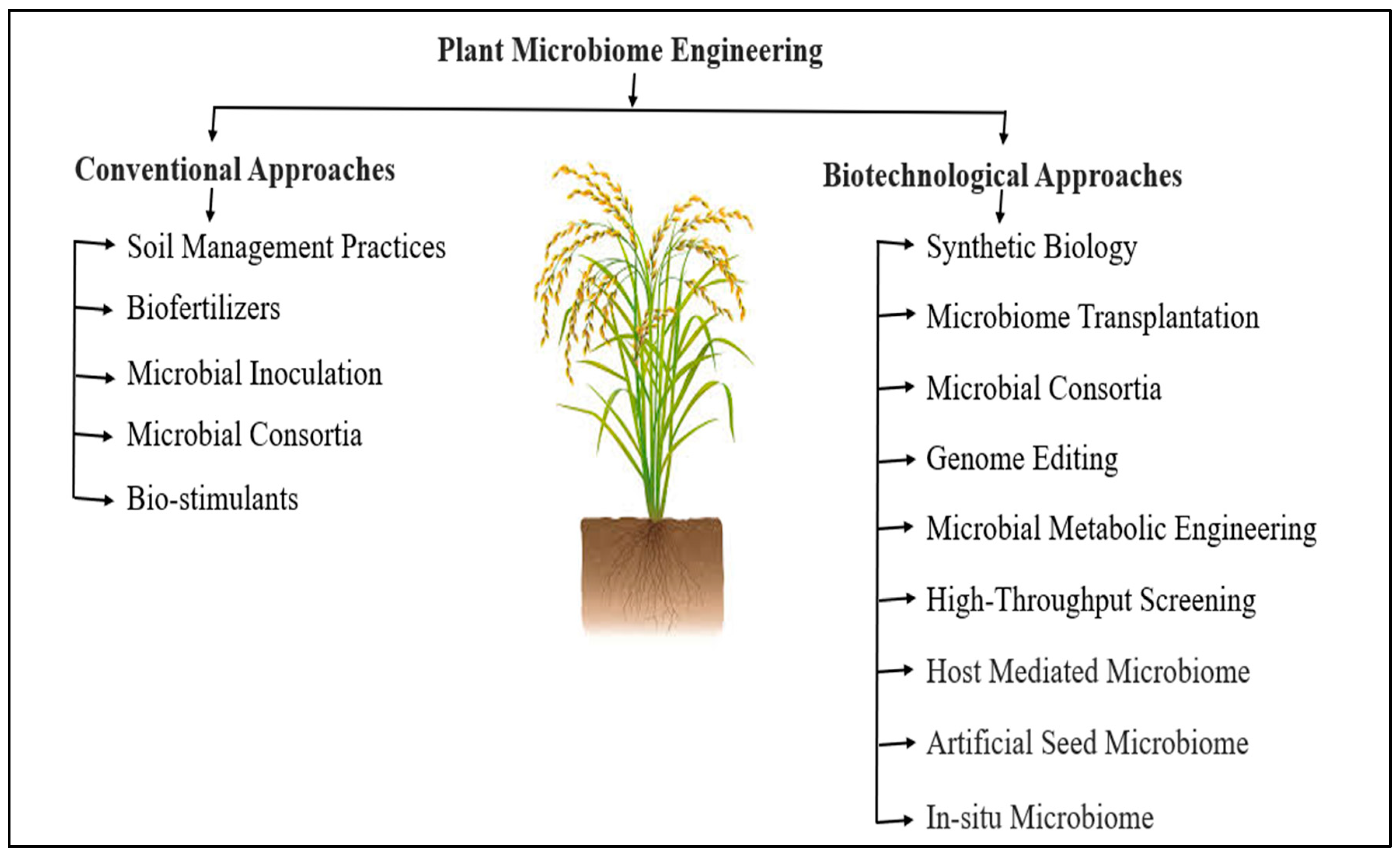 Preprints 141792 g003