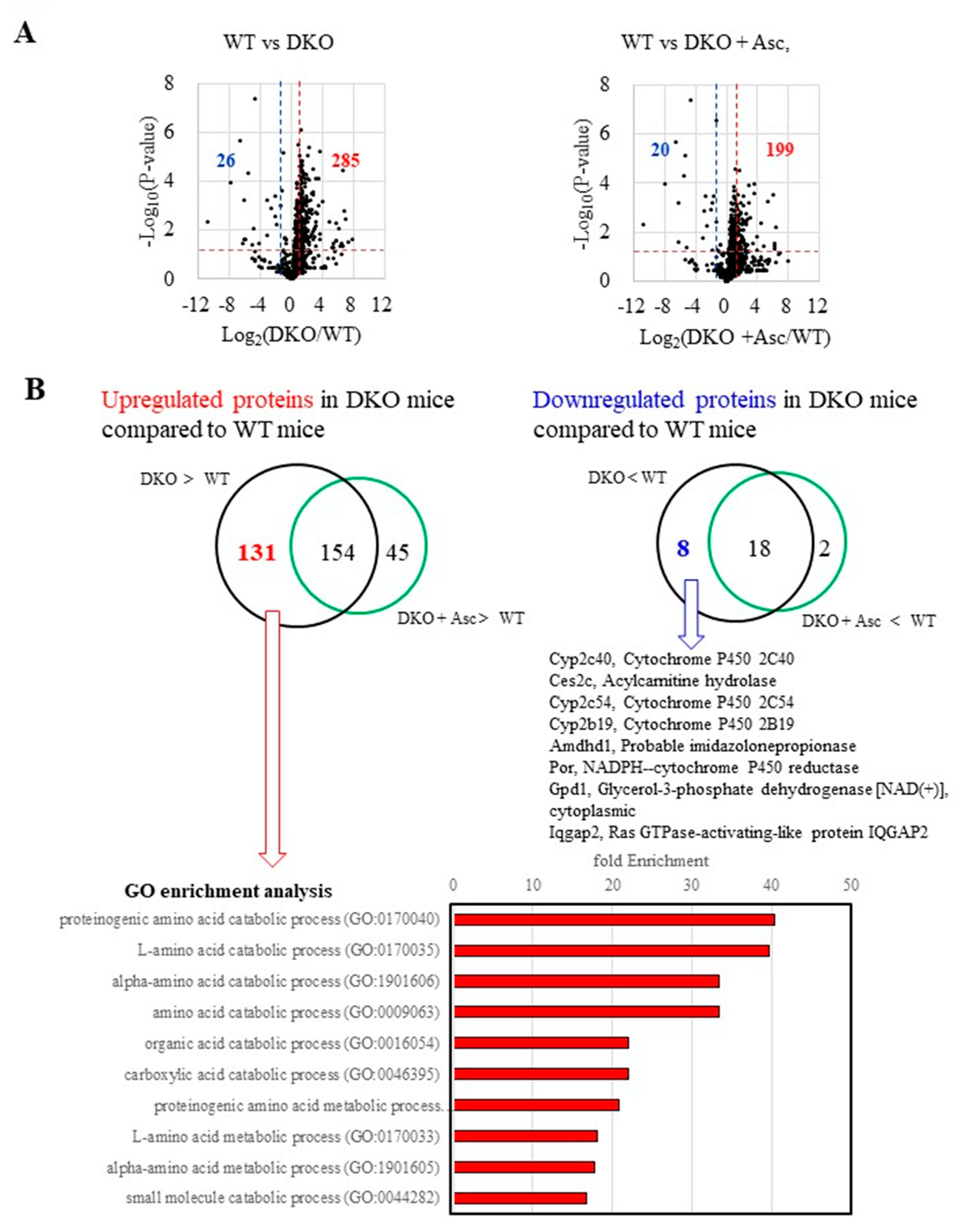 Preprints 155178 g003