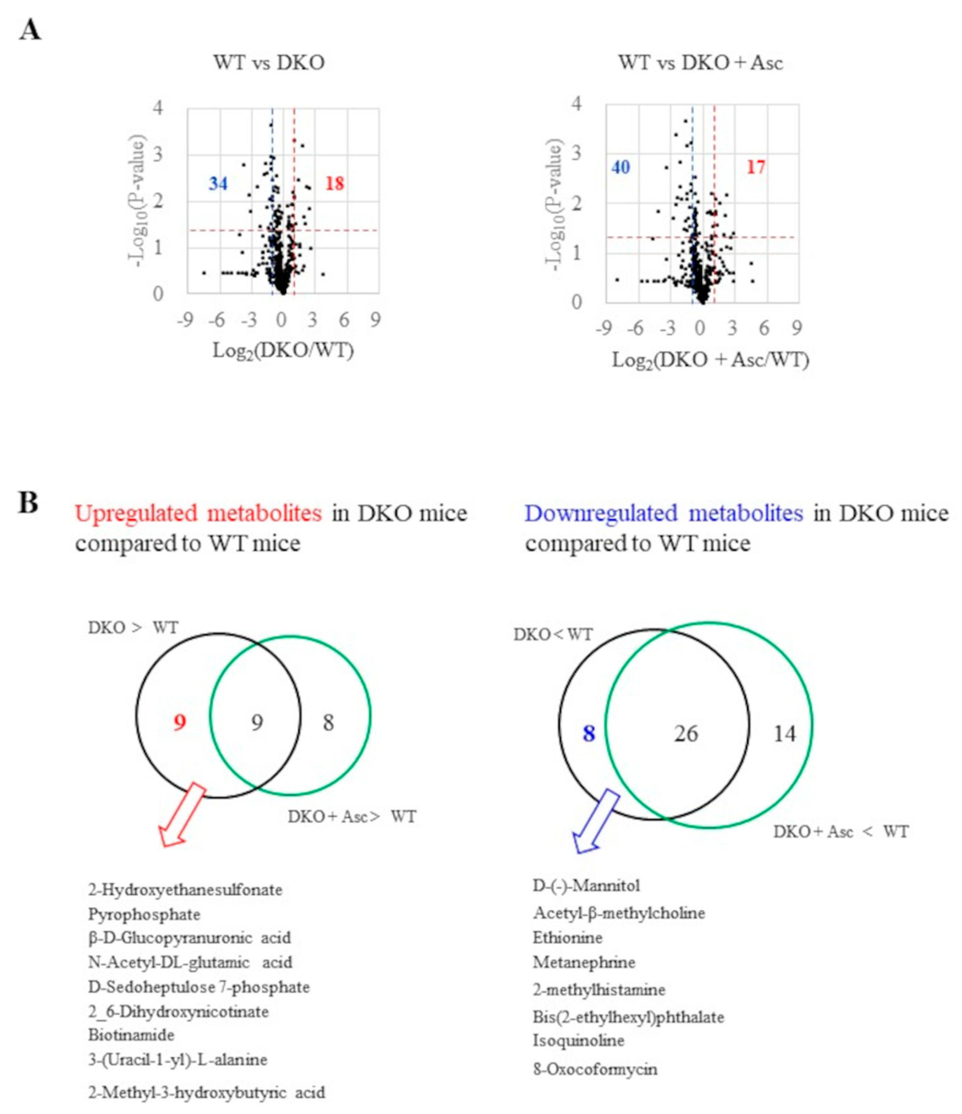 Preprints 155178 g004