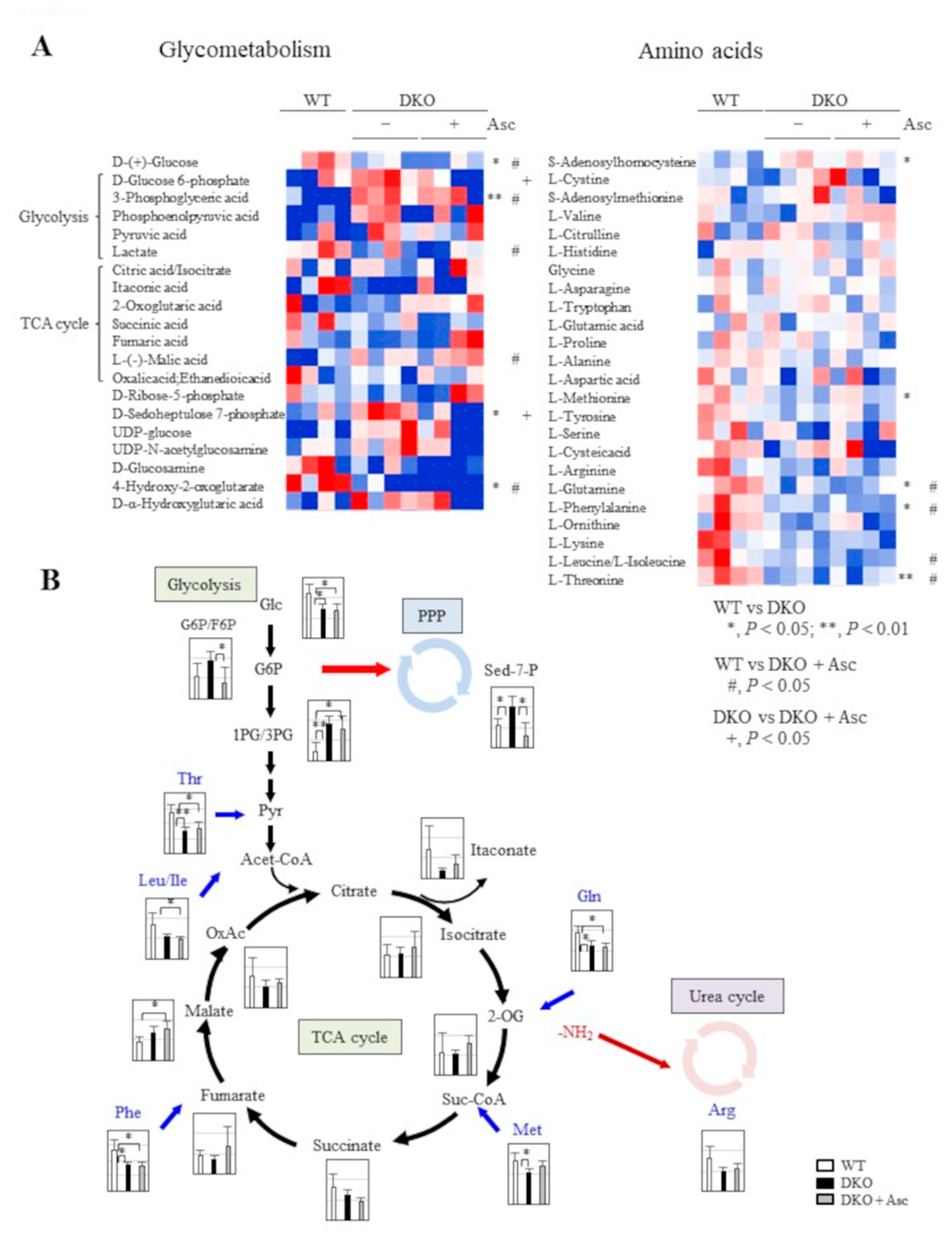 Preprints 155178 g005