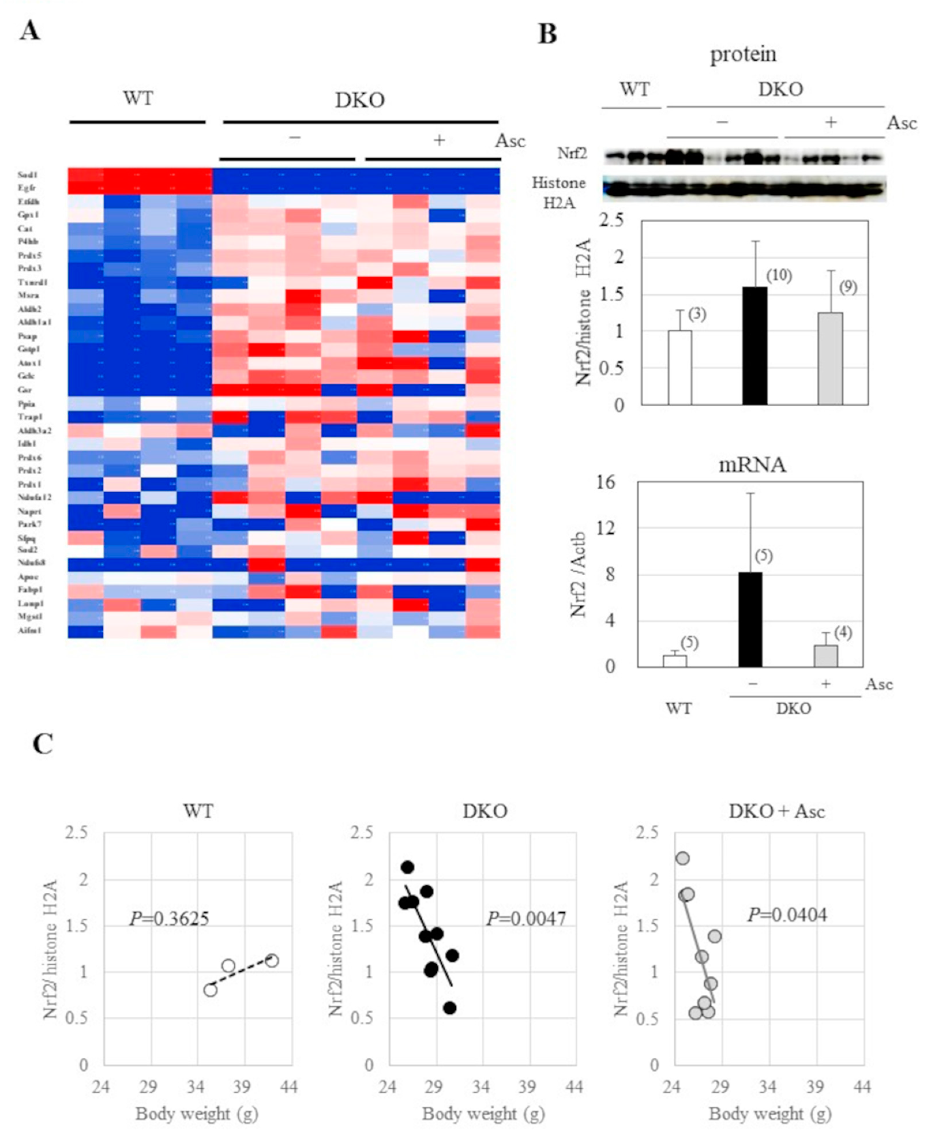 Preprints 155178 g006