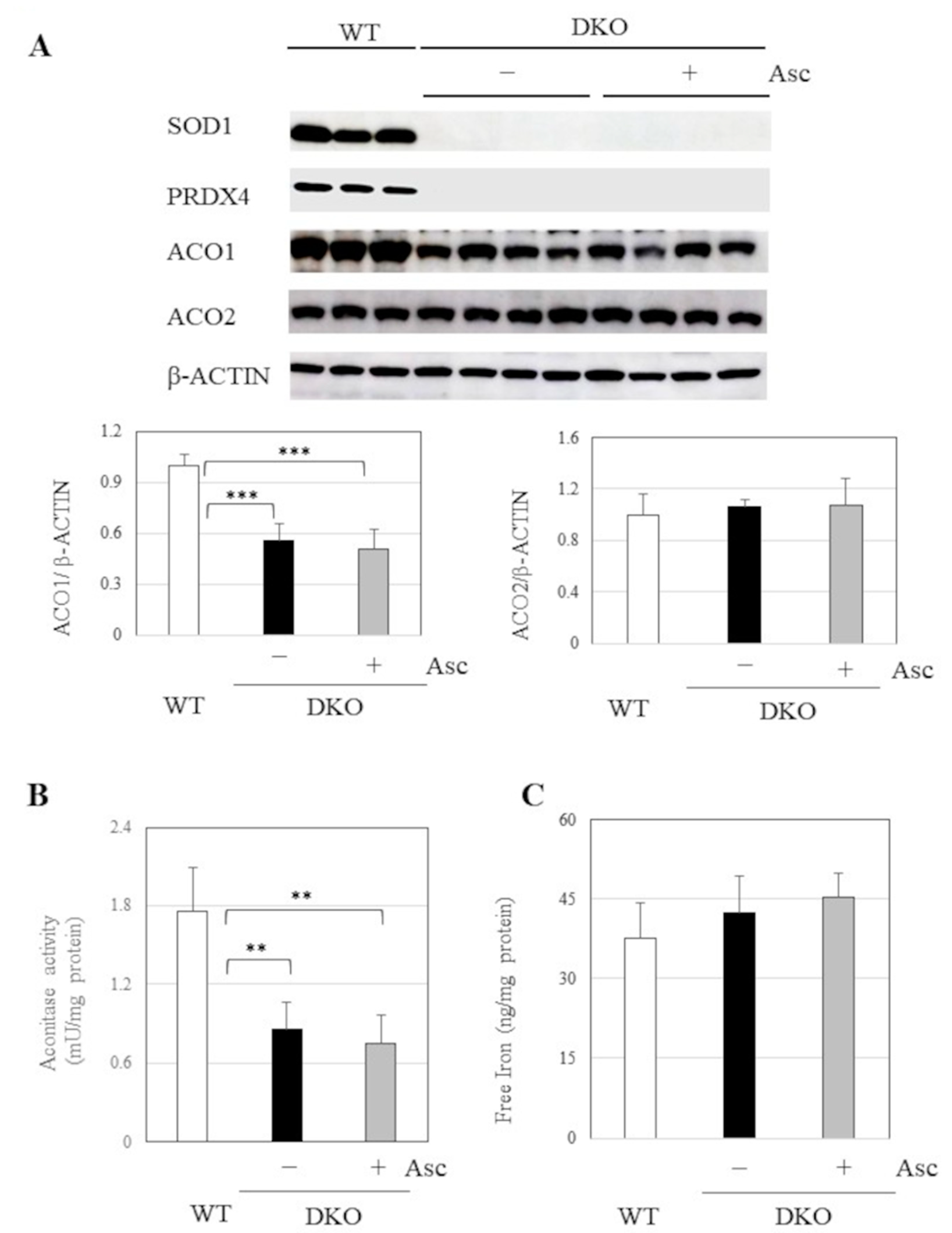 Preprints 155178 g007