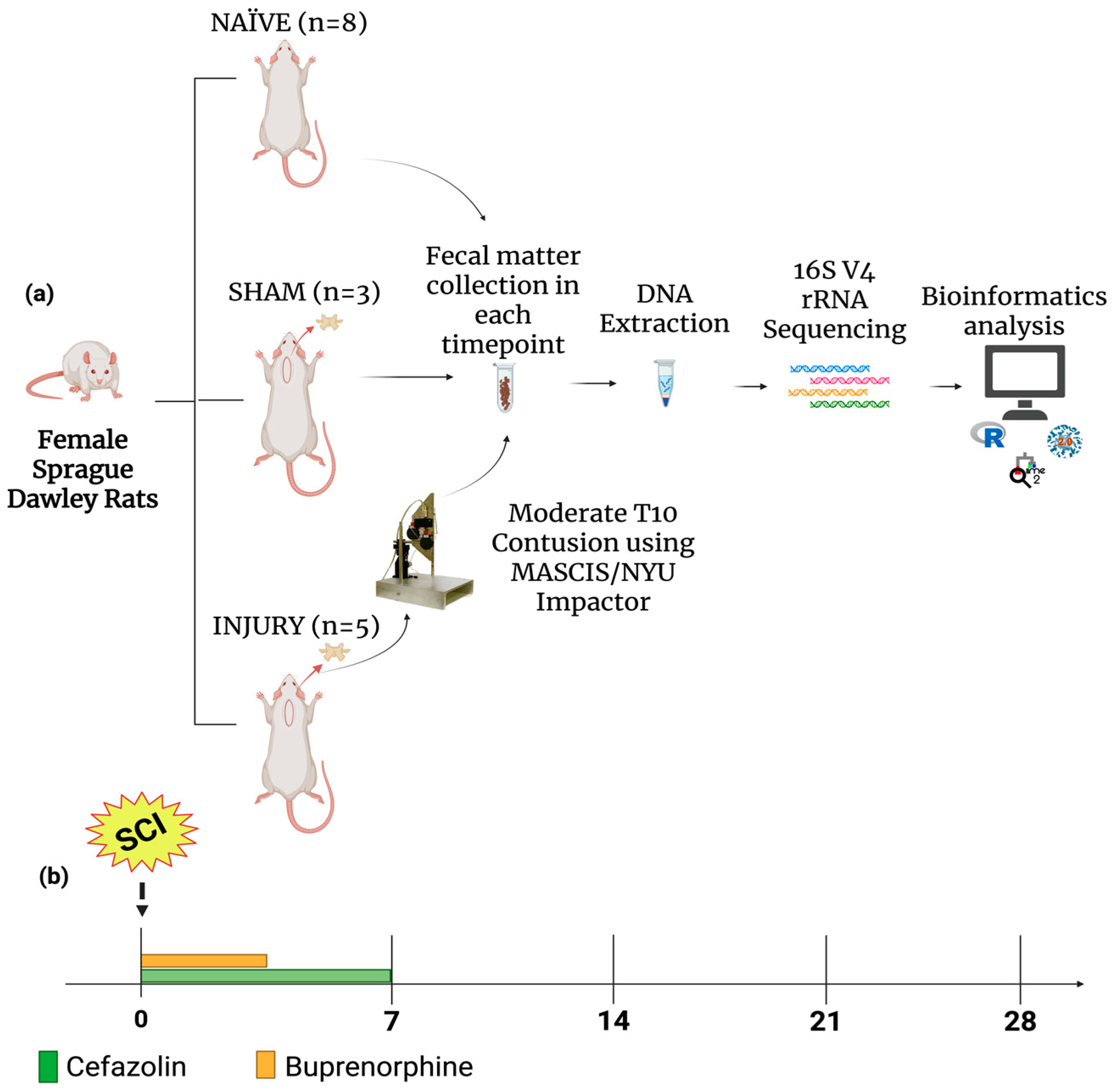 Preprints 168762 g001