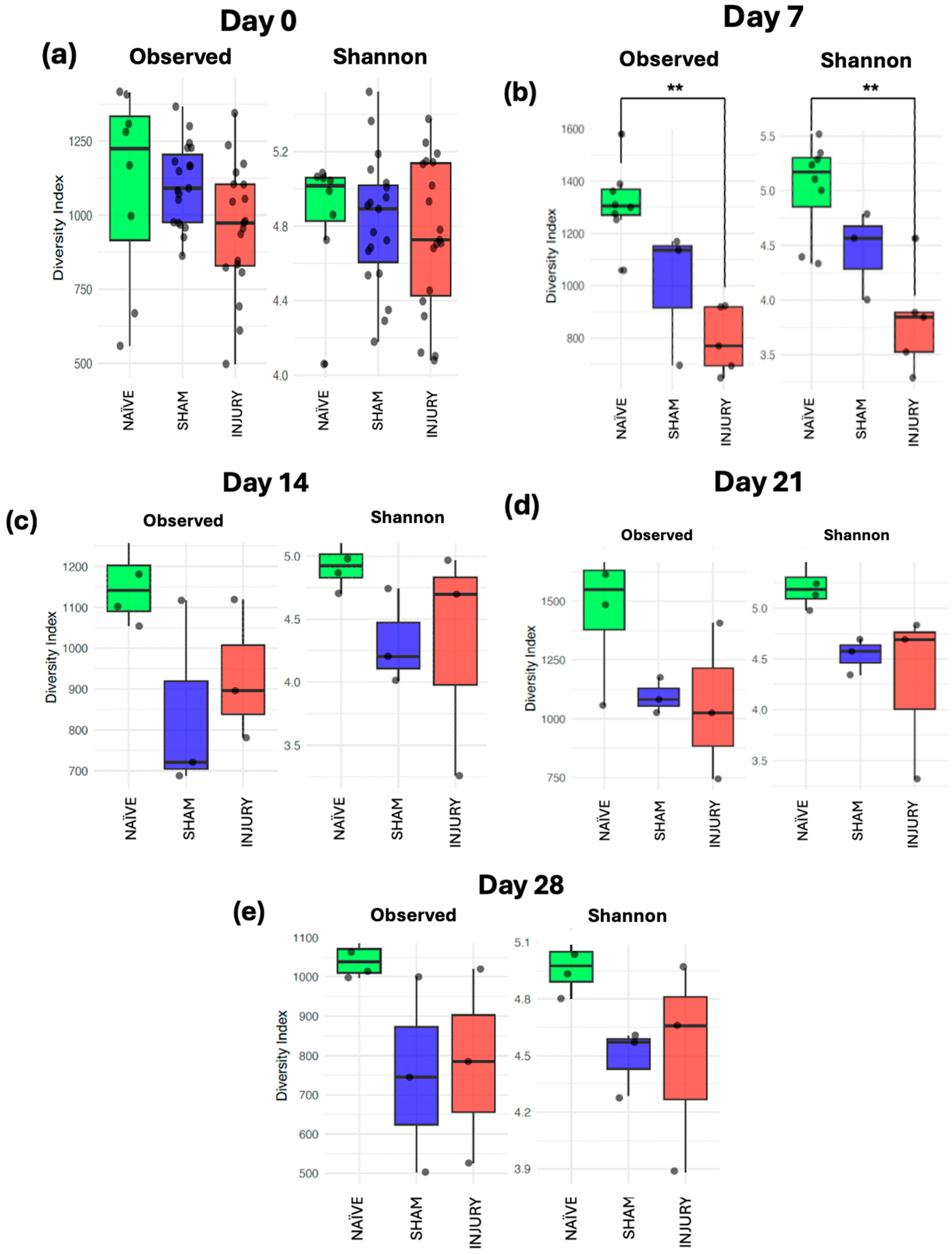 Preprints 168762 g006
