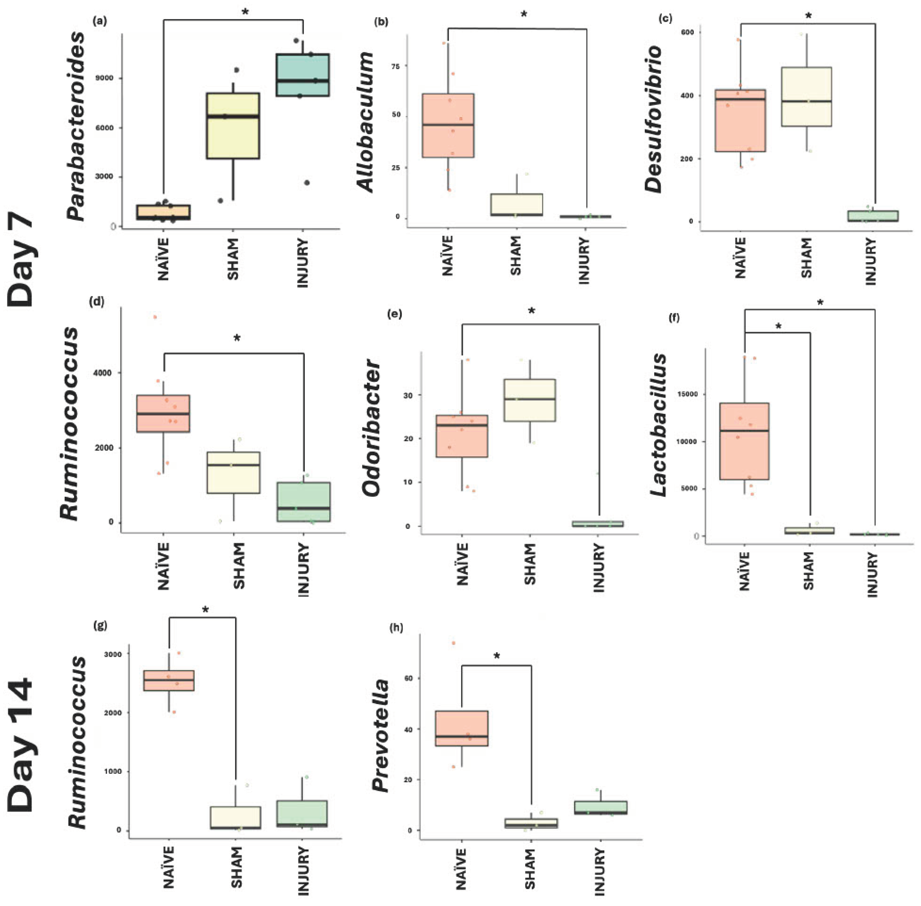 Preprints 168762 g008
