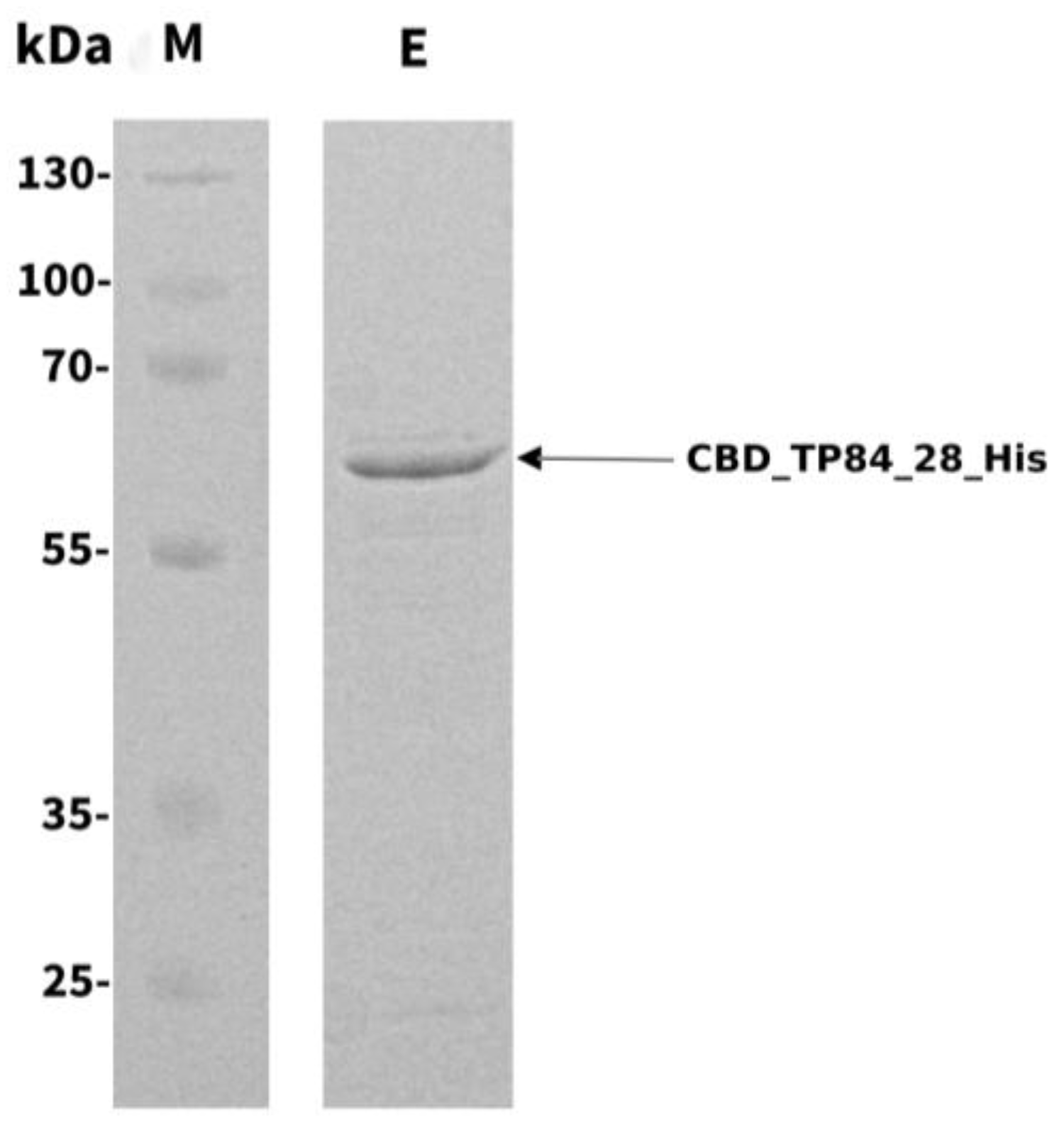Preprints 138888 g001