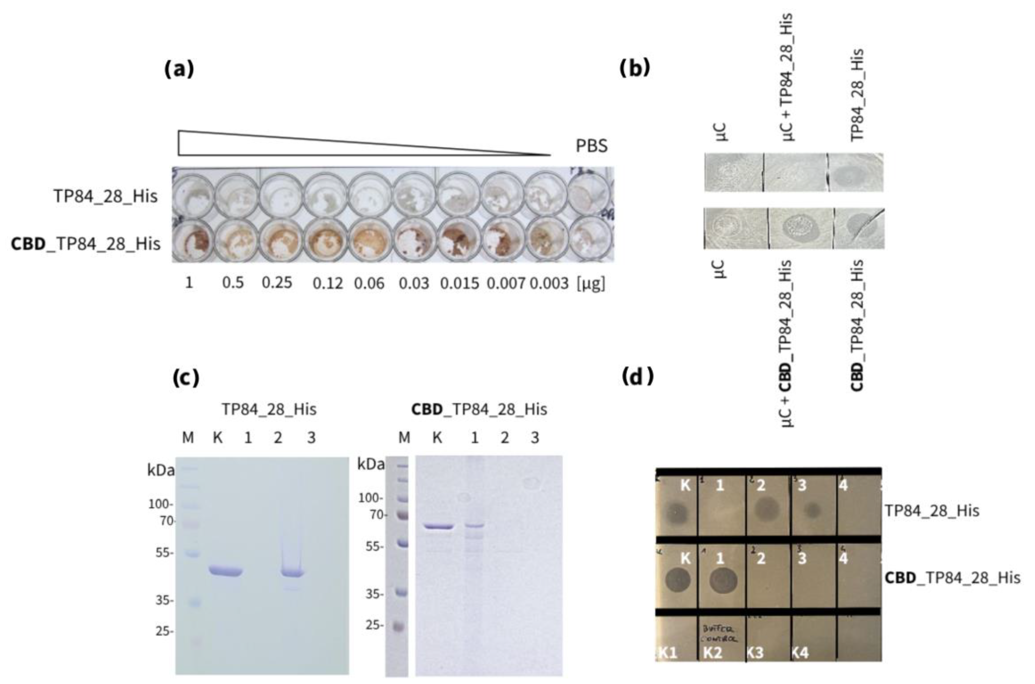 Preprints 138888 g007
