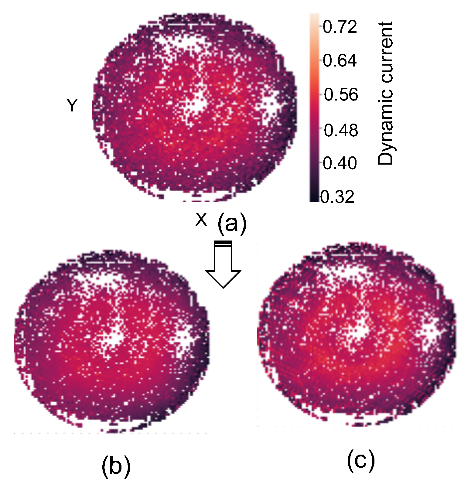 Preprints 151236 g001