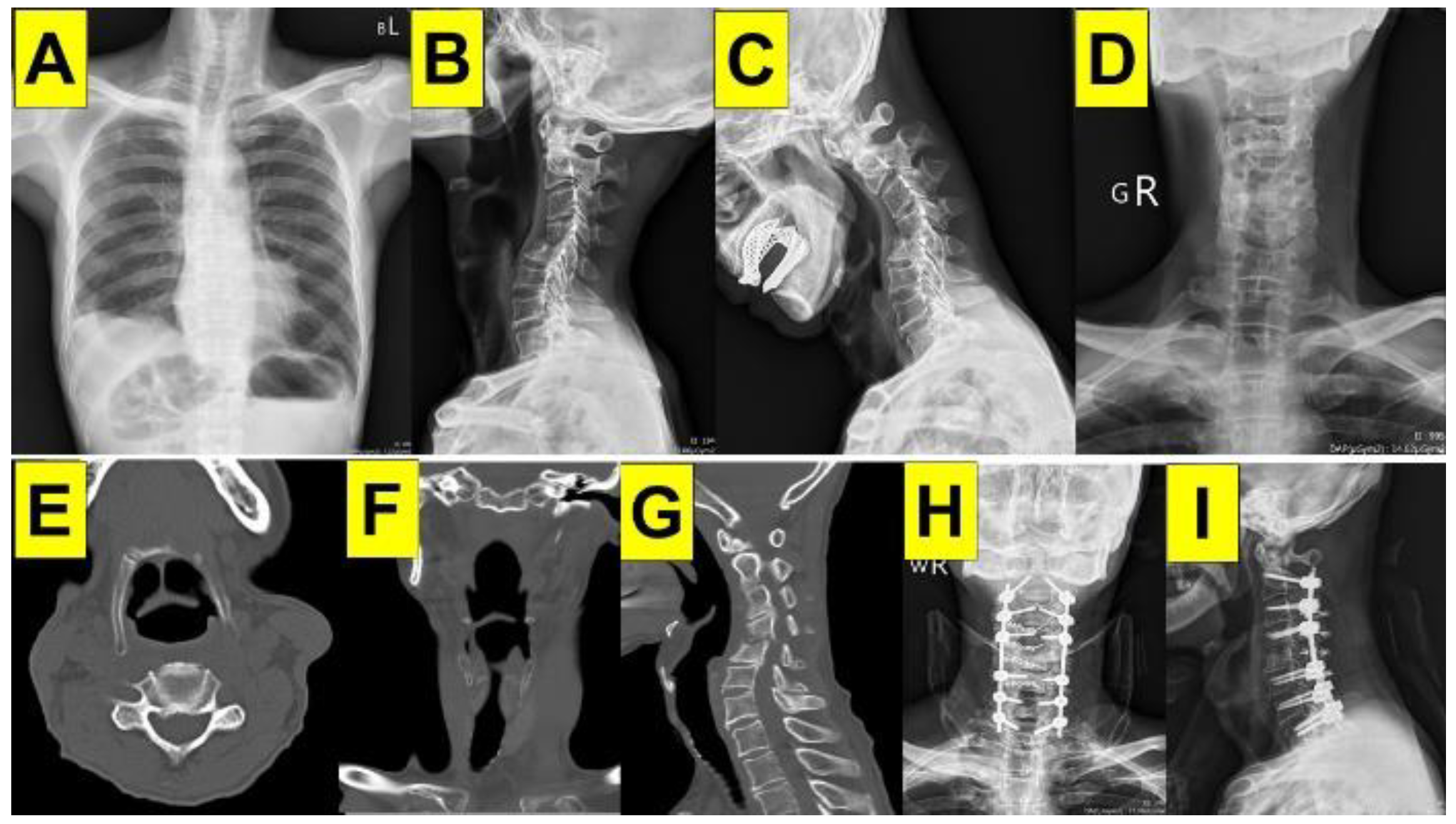 Preprints 193265 g001