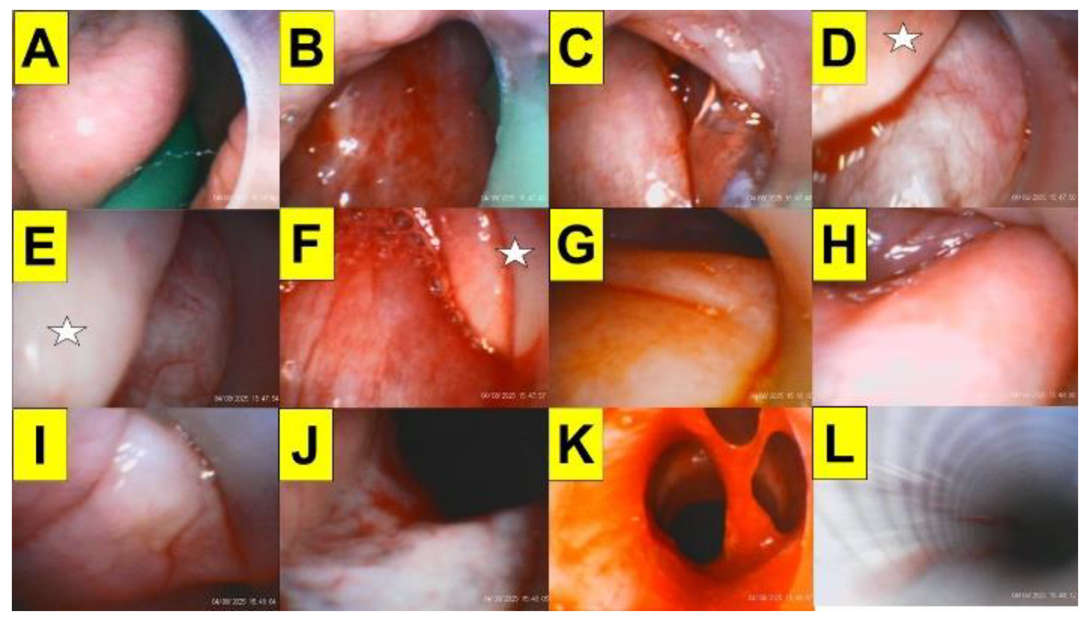 Preprints 193265 g003