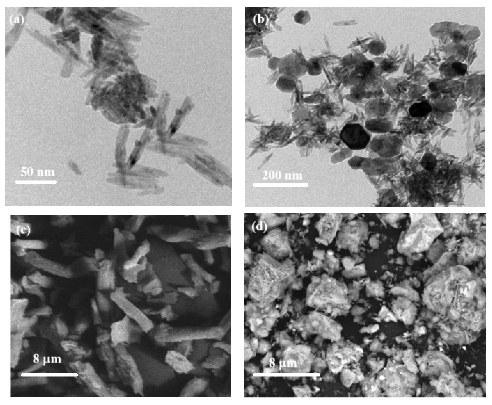 Preprints 138353 g005