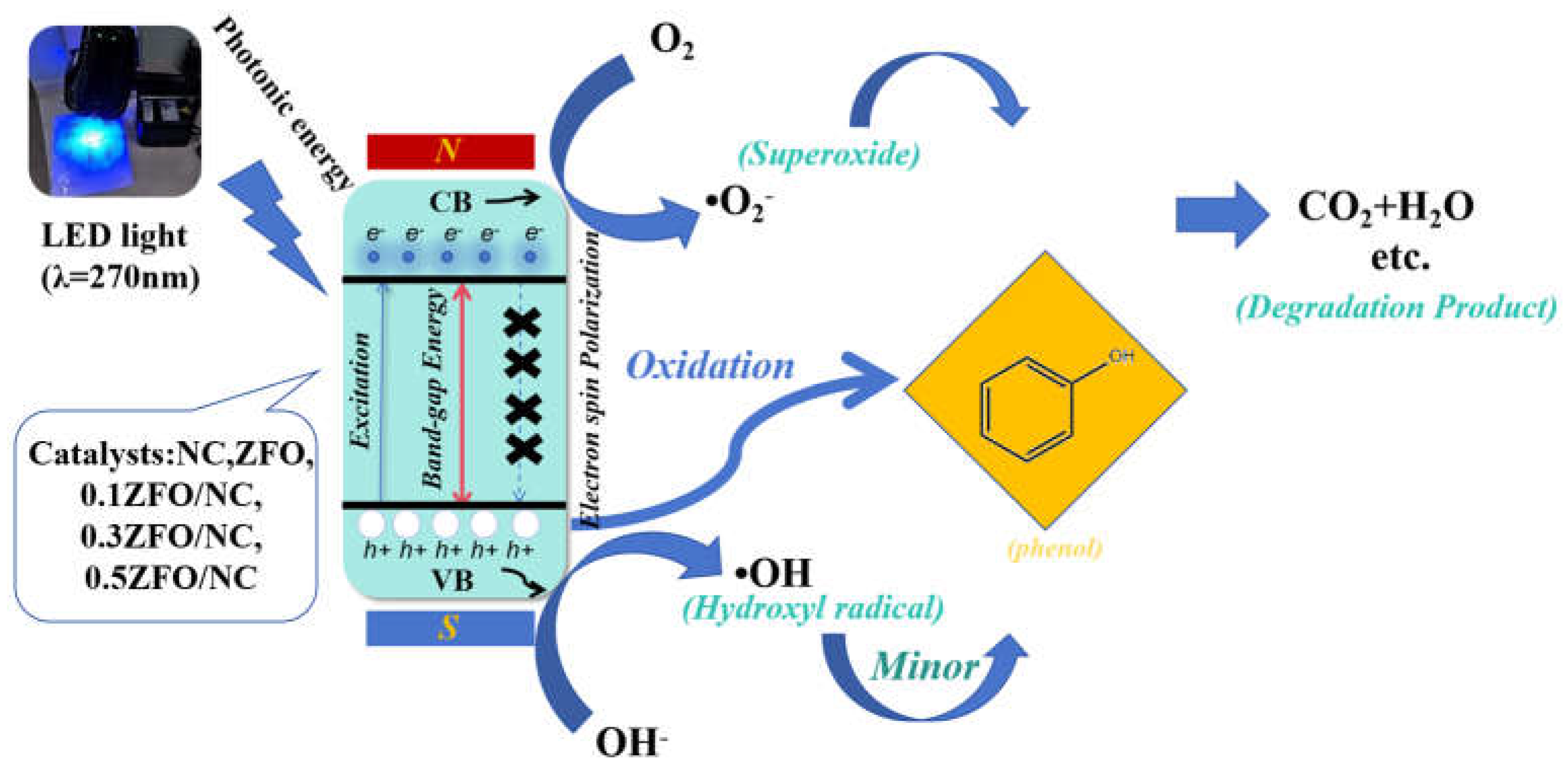 Preprints 138353 g010