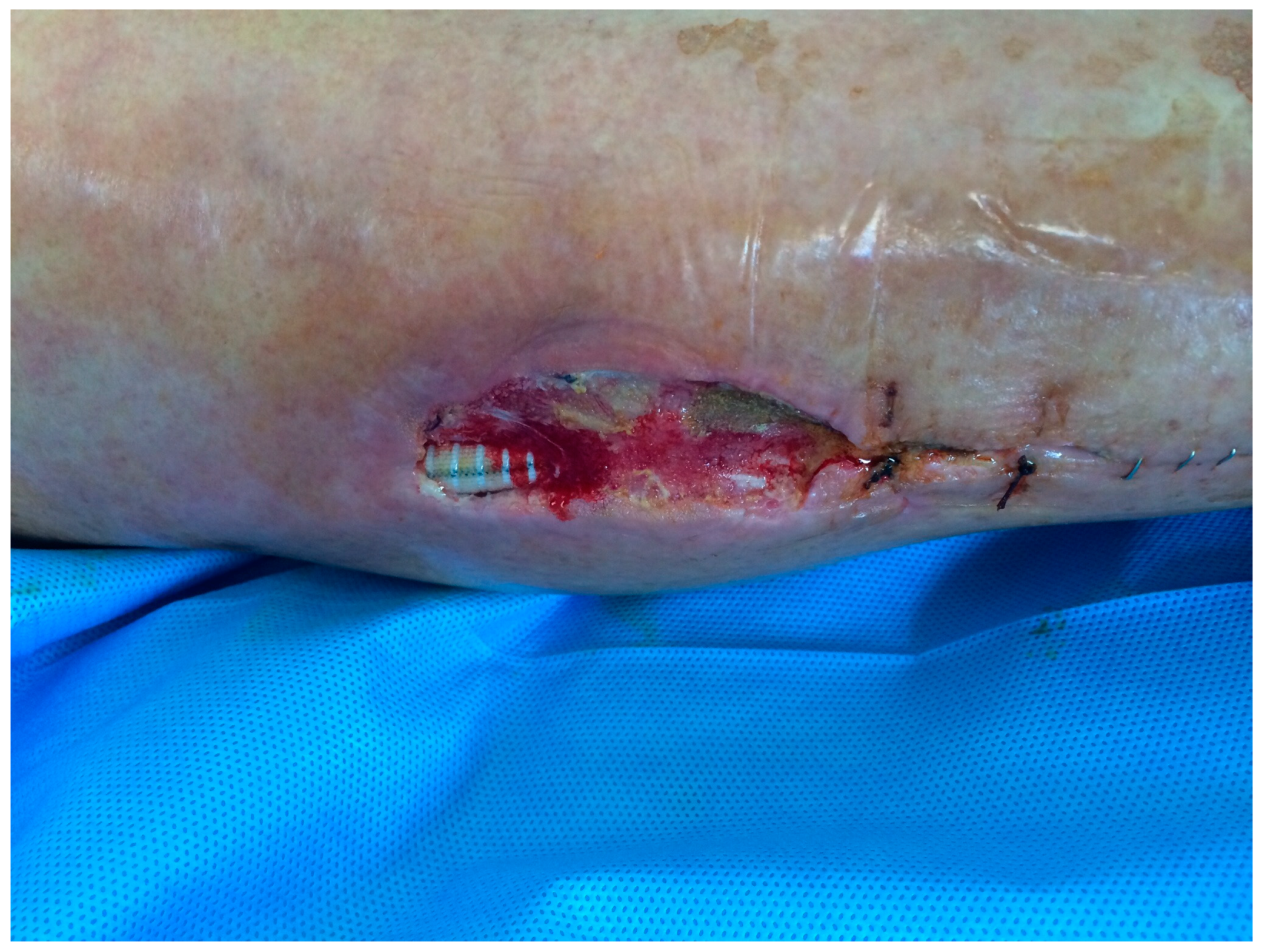 Preprints 146673 g001