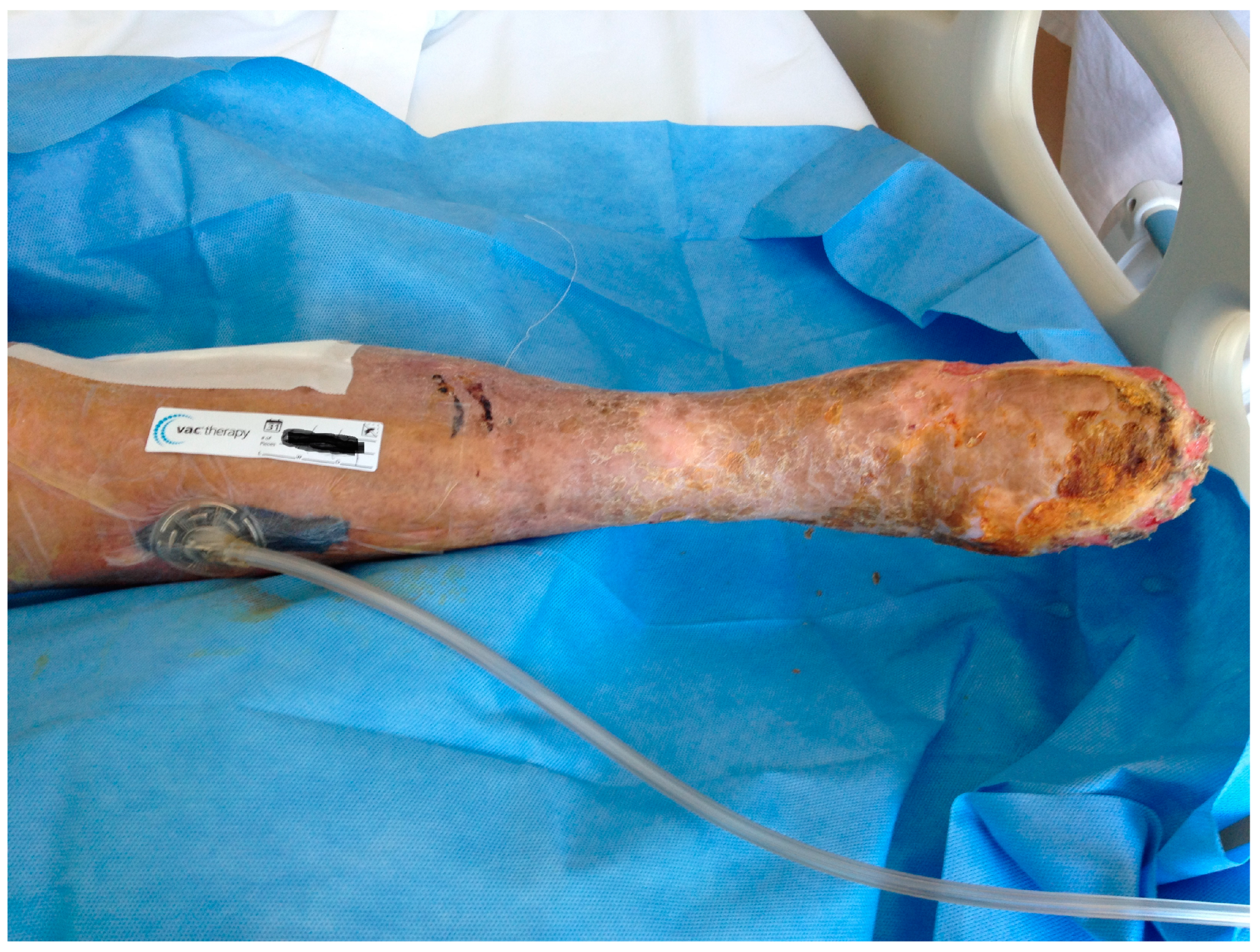 Preprints 146673 g002