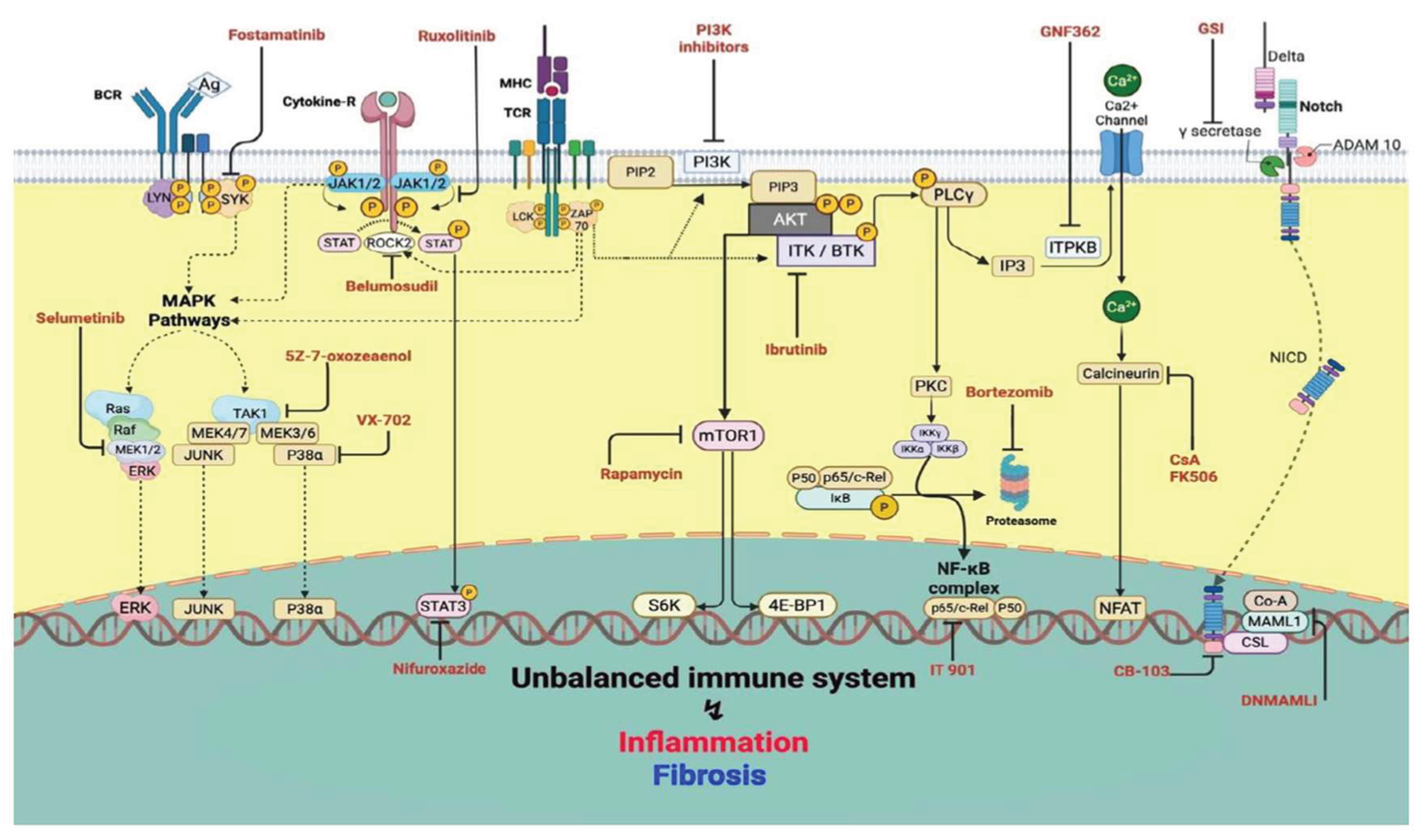 Preprints 189983 g001