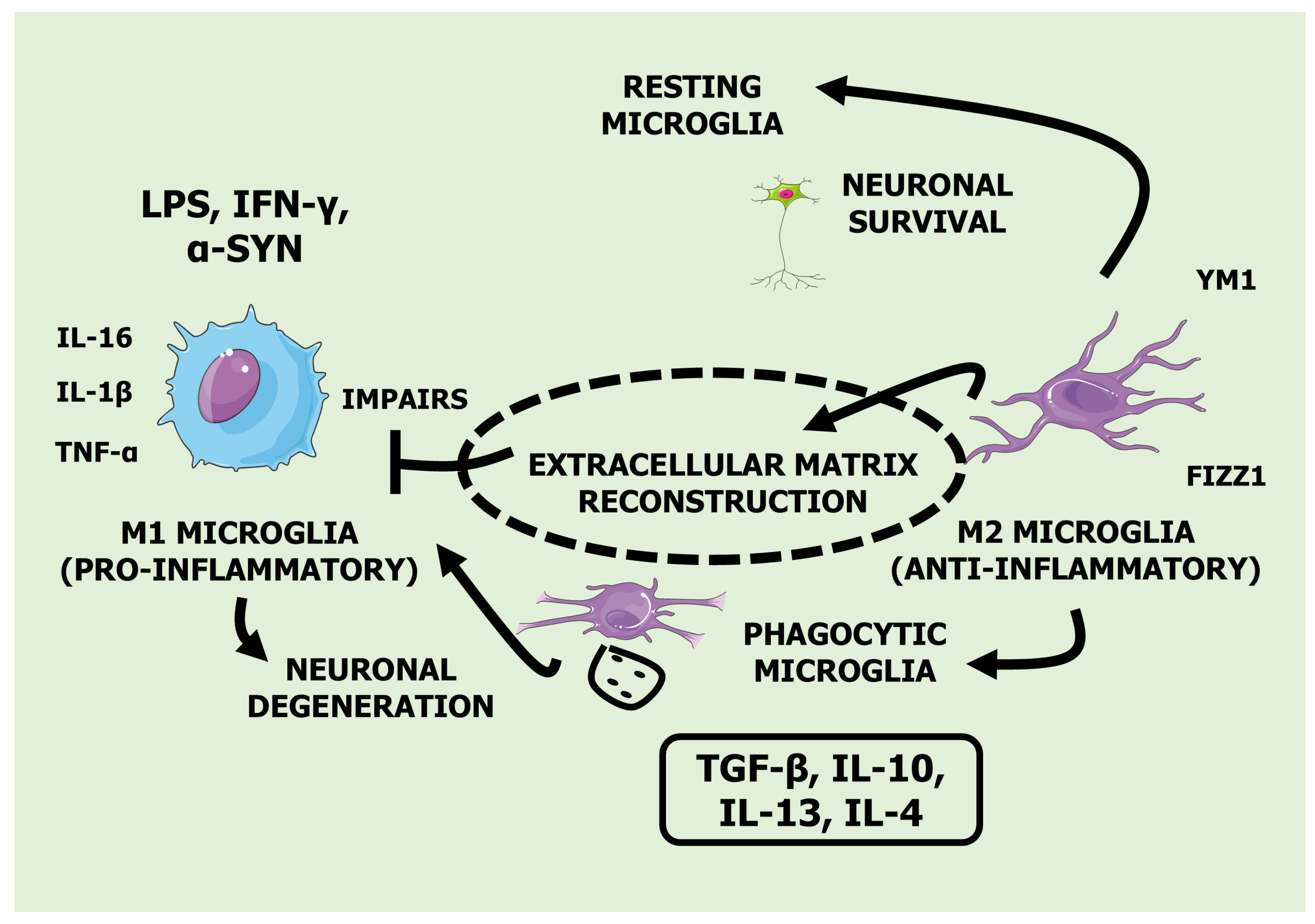 Preprints 143405 g001