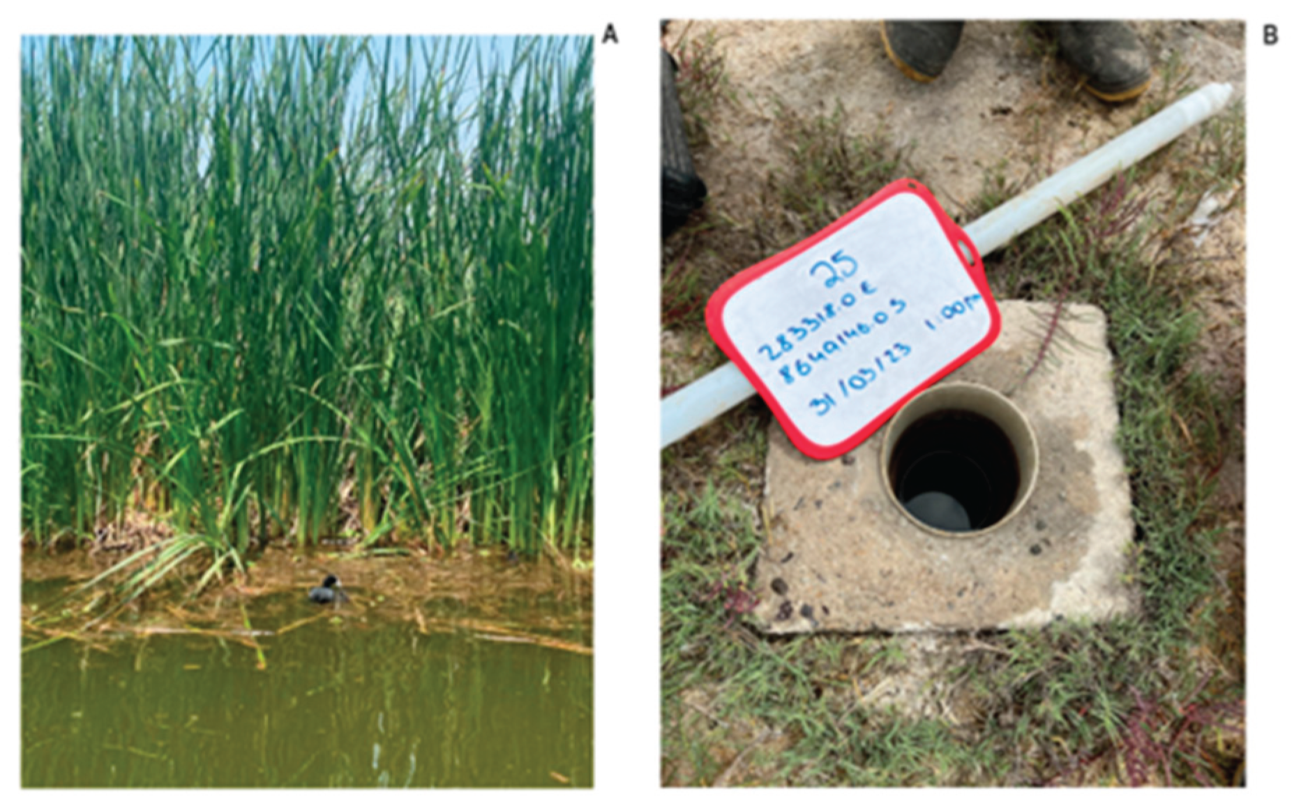 Preprints 166913 g002