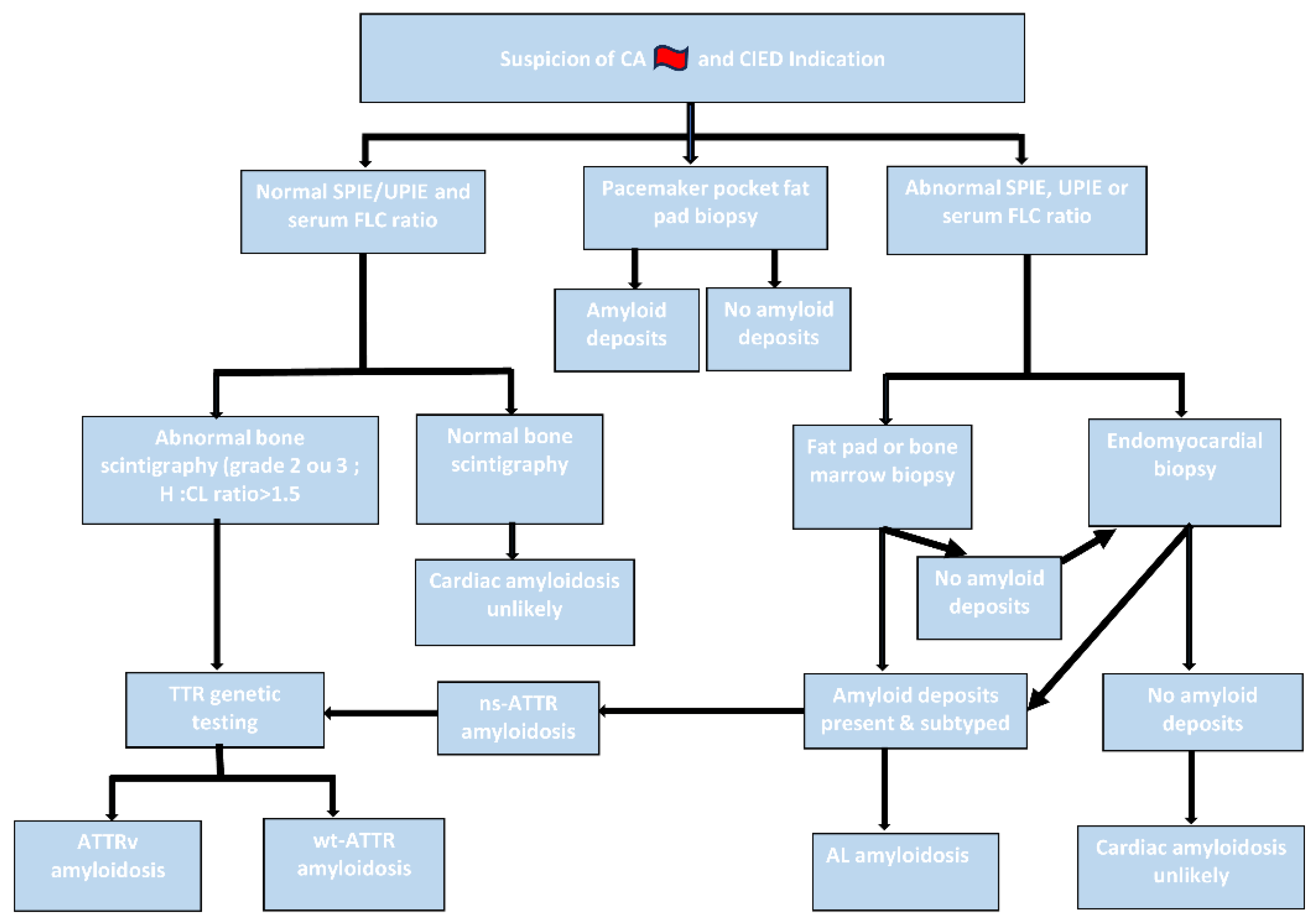 Preprints 142033 g002