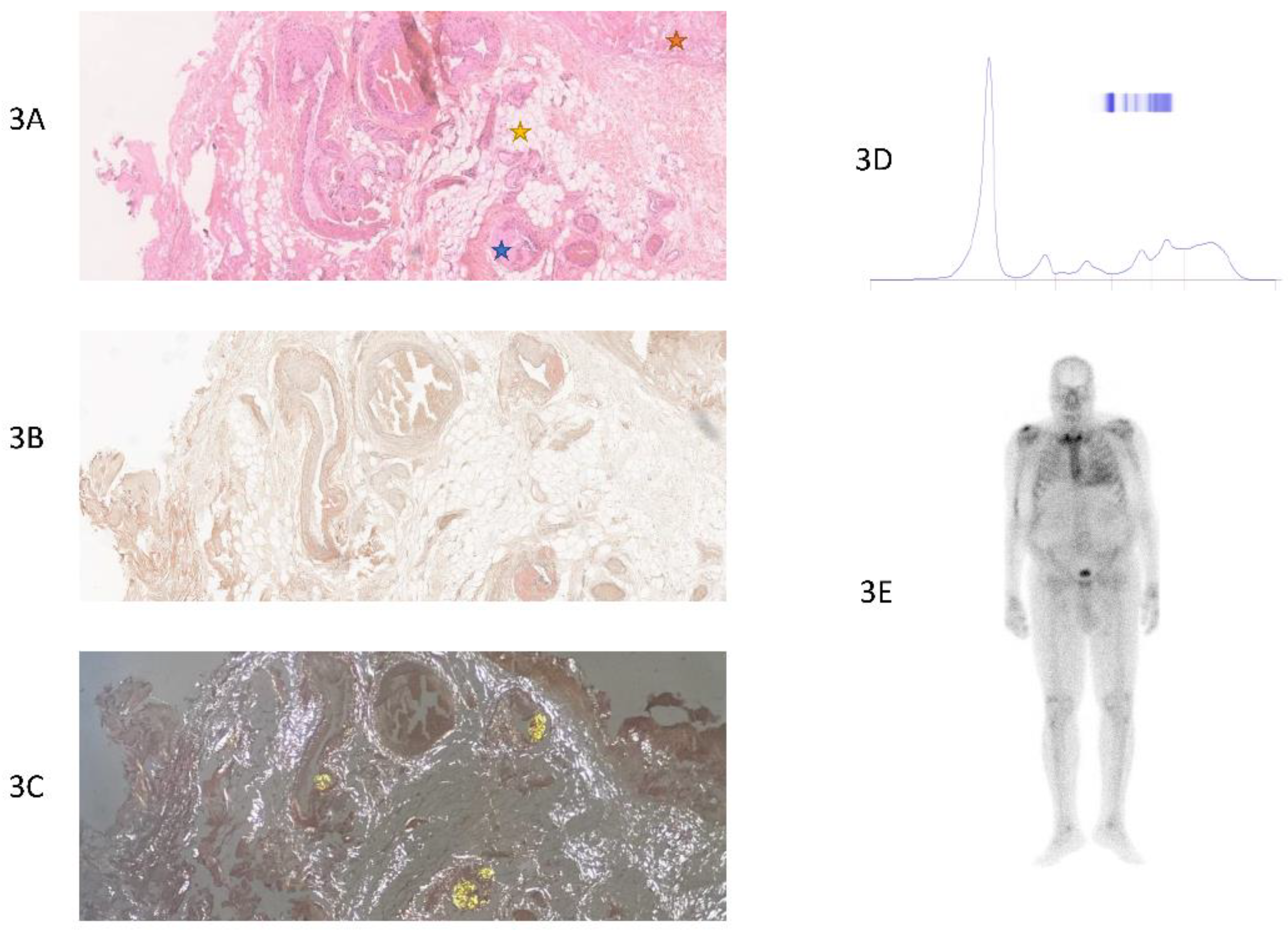 Preprints 142033 g003