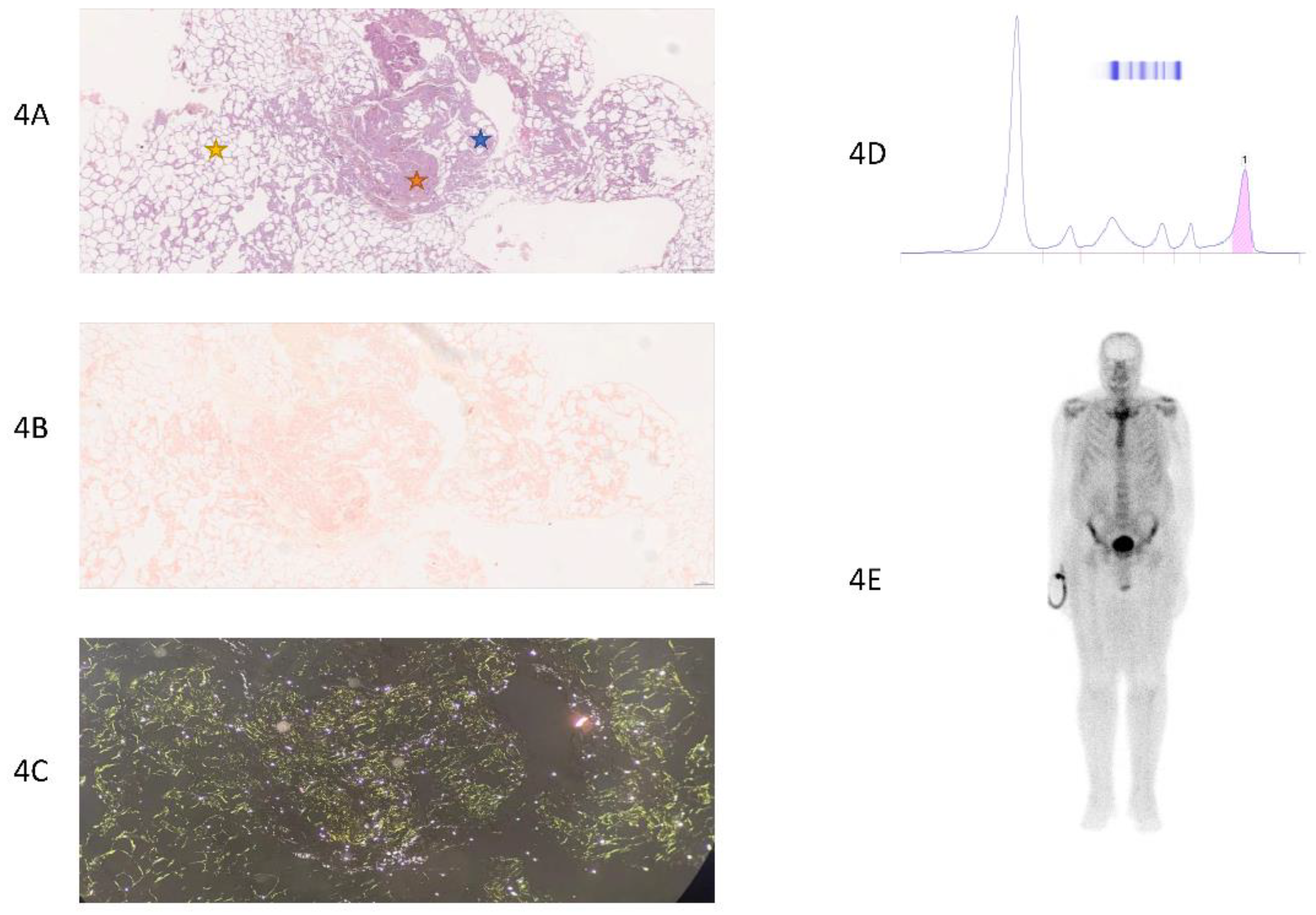 Preprints 142033 g004