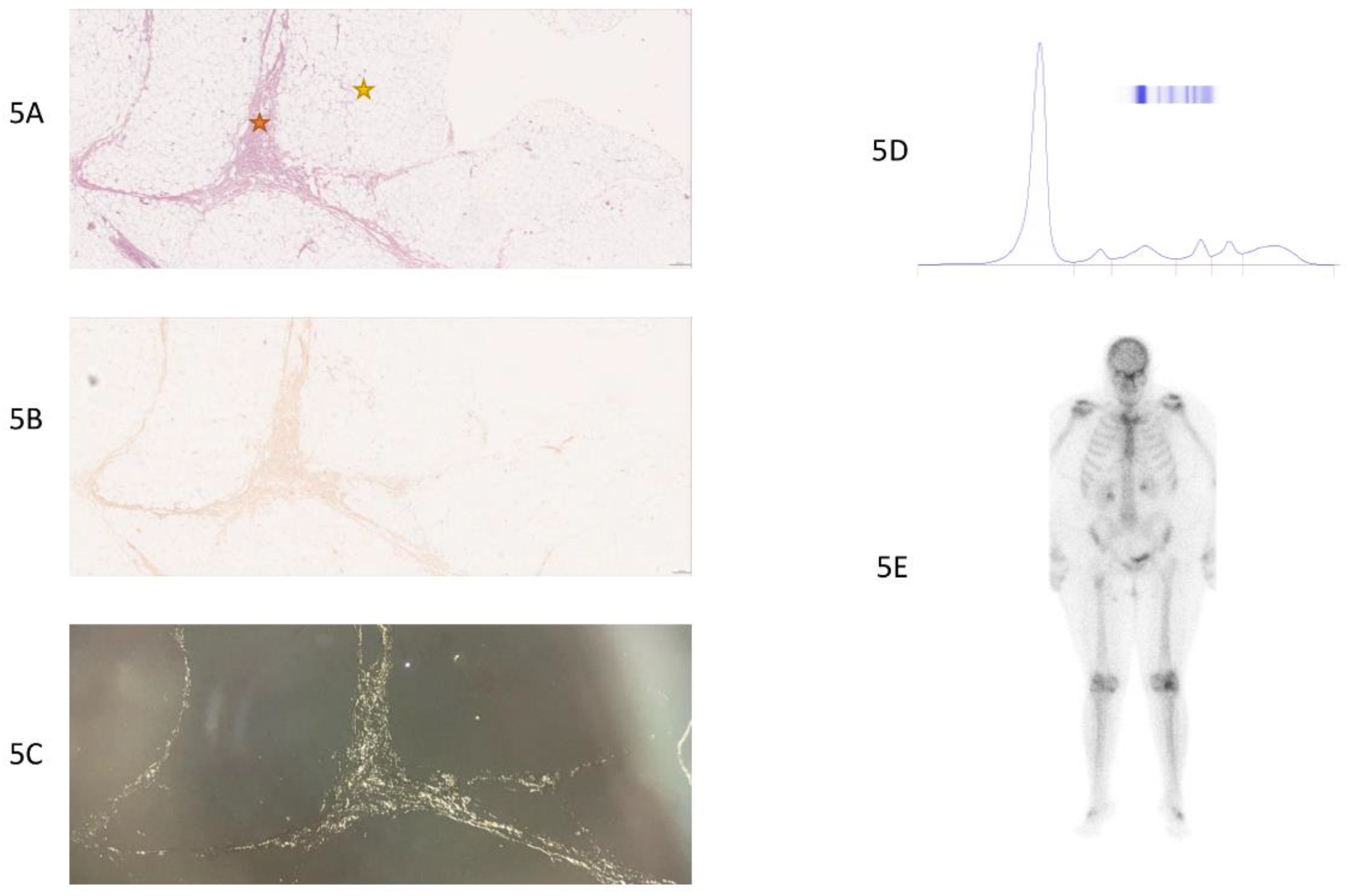 Preprints 142033 g005