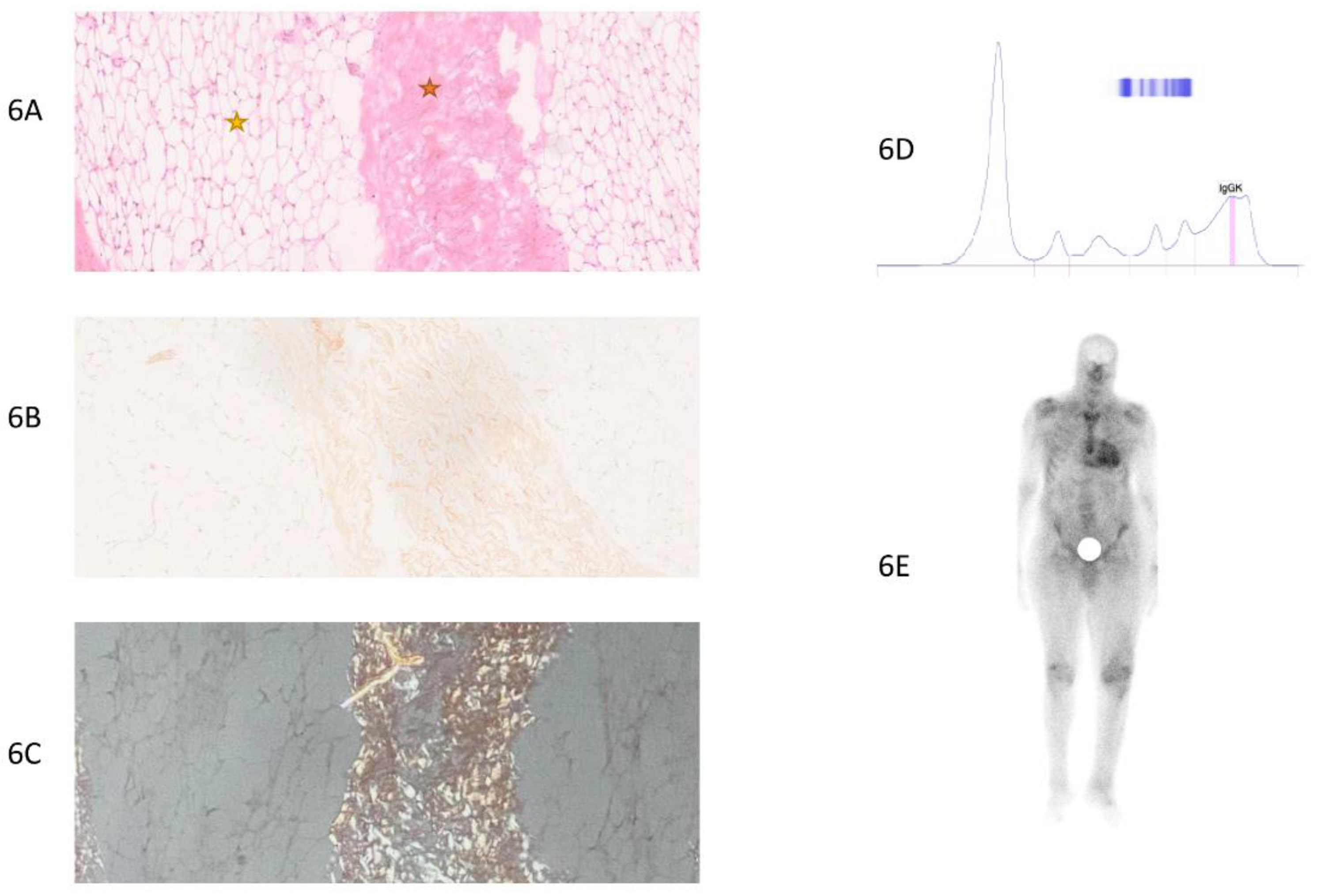 Preprints 142033 g006