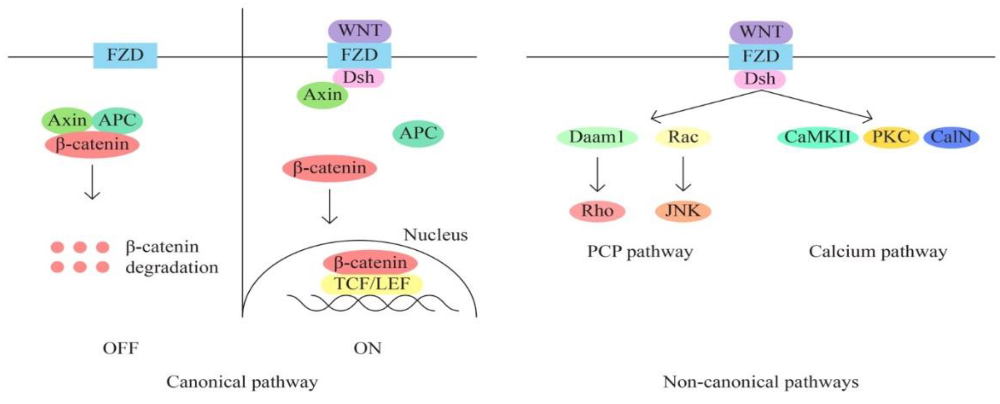 Preprints 86335 g004