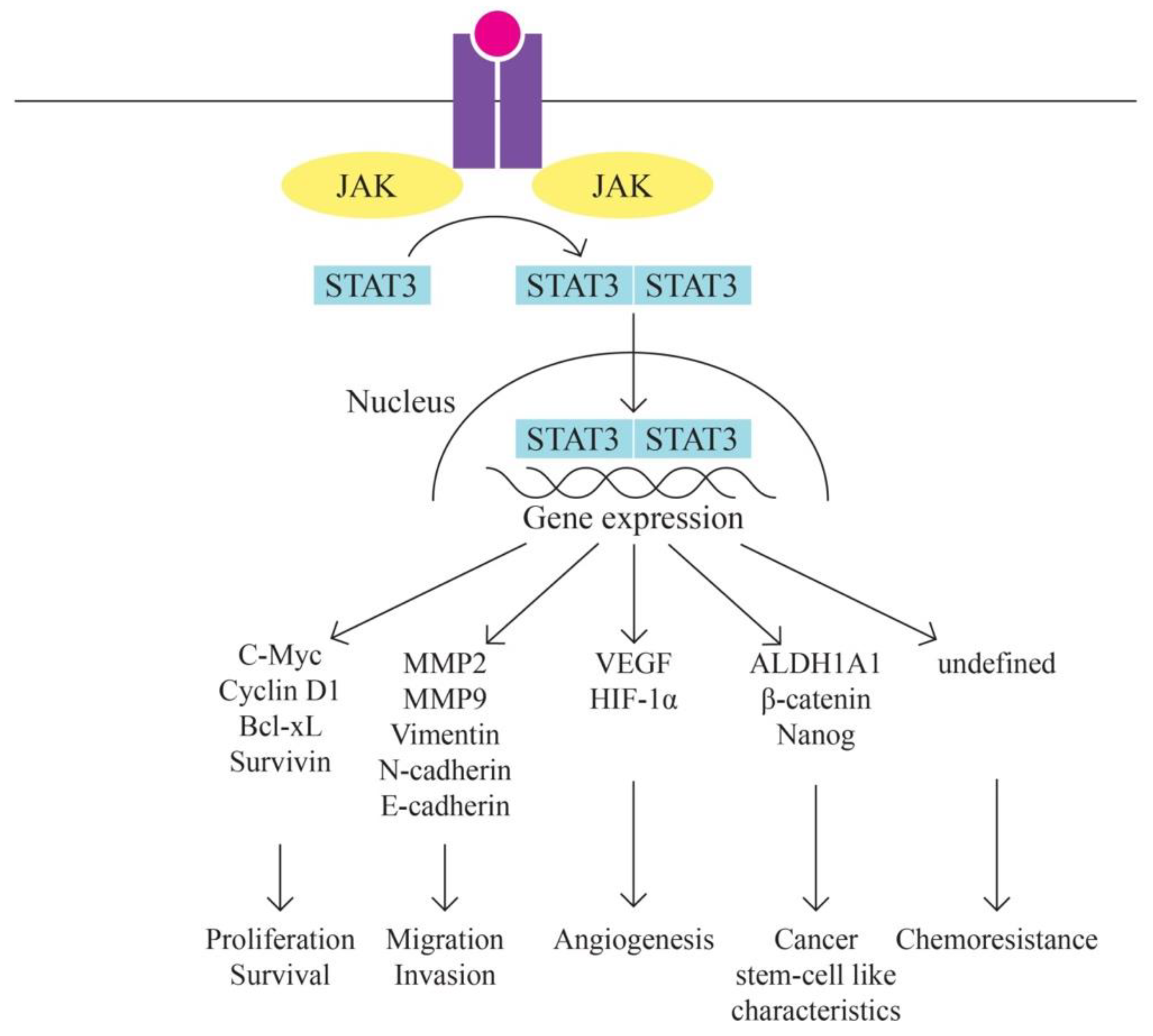 Preprints 86335 g005